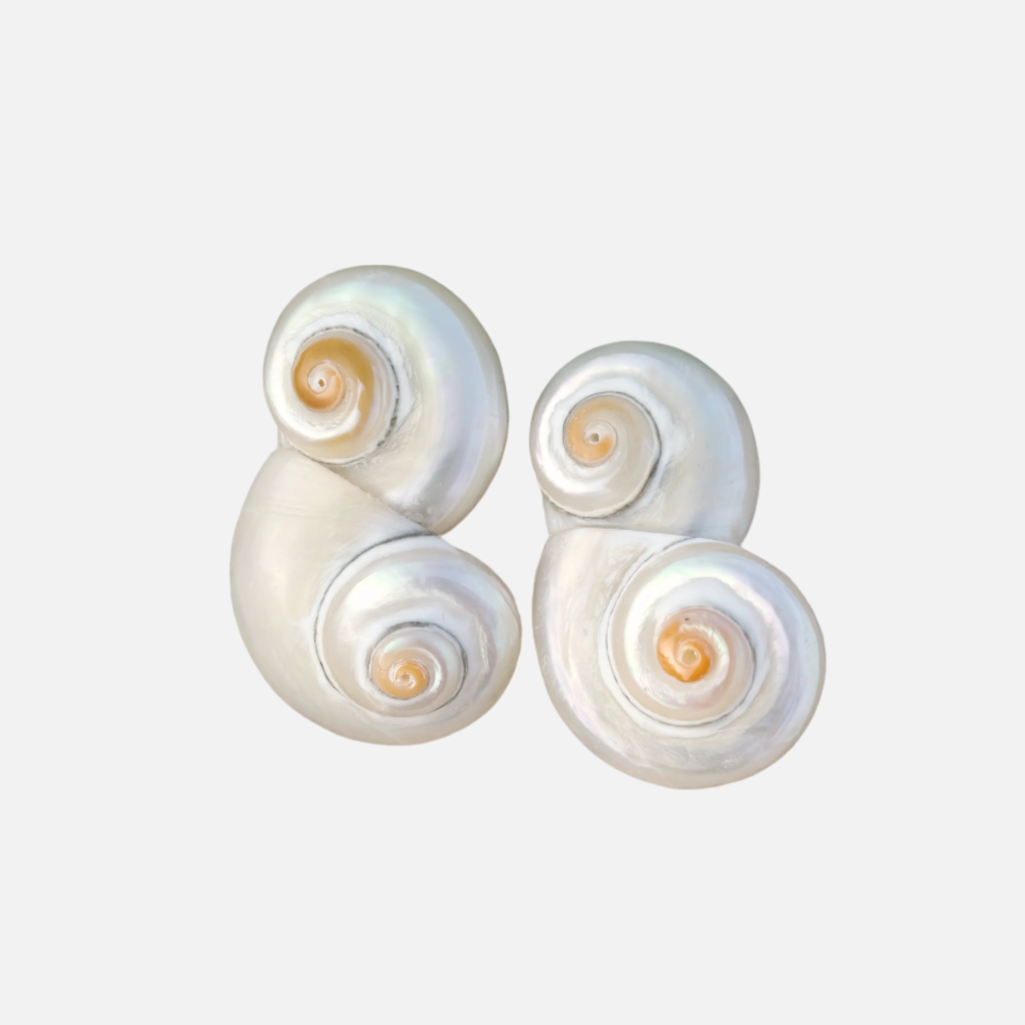 Twists and Turns Earrings by Anita Berisha - At Present Jewelry