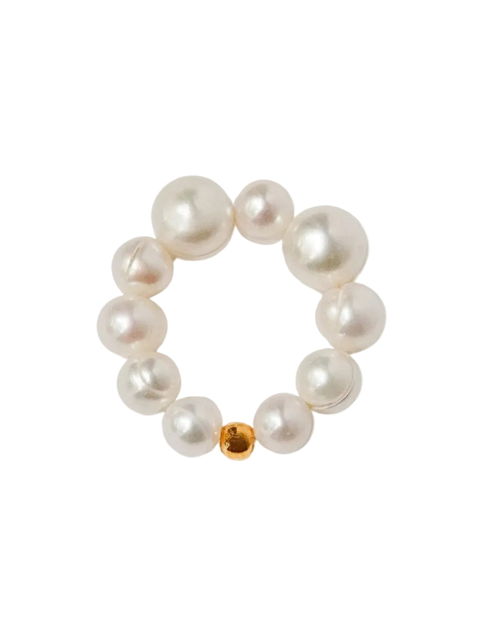 Nautilus Ring by Anita Berisha - At Present Jewelry