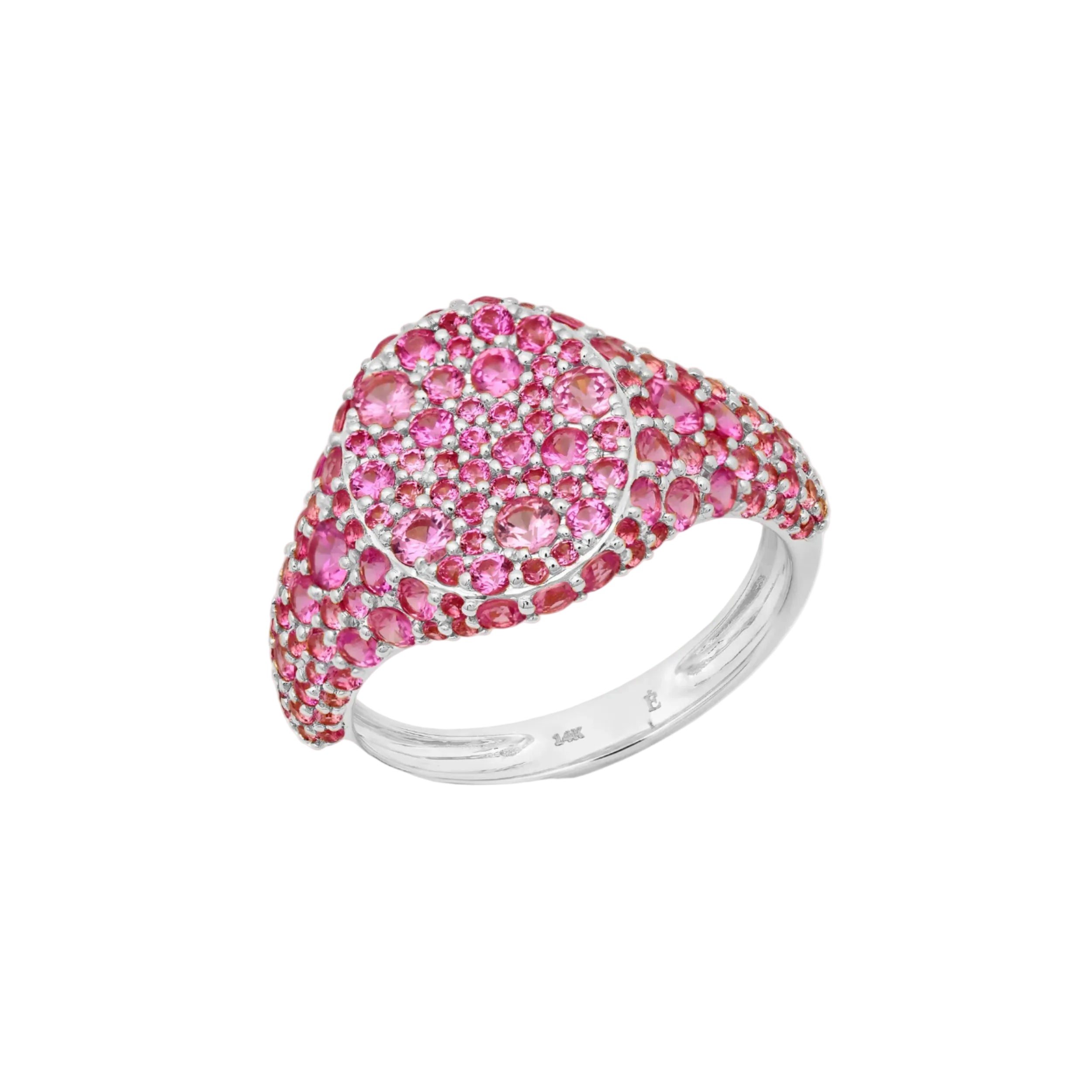 Encrusted Signet Ring by Eriness - At Present Jewelry