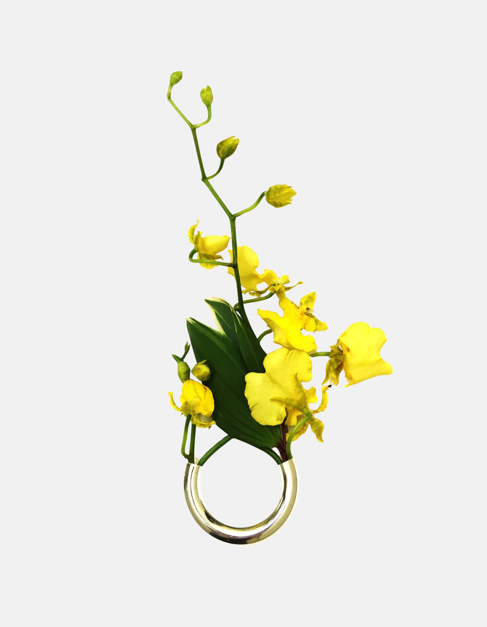 Botanical Brooch in Silver by Lady Grey - At Present Jewelry