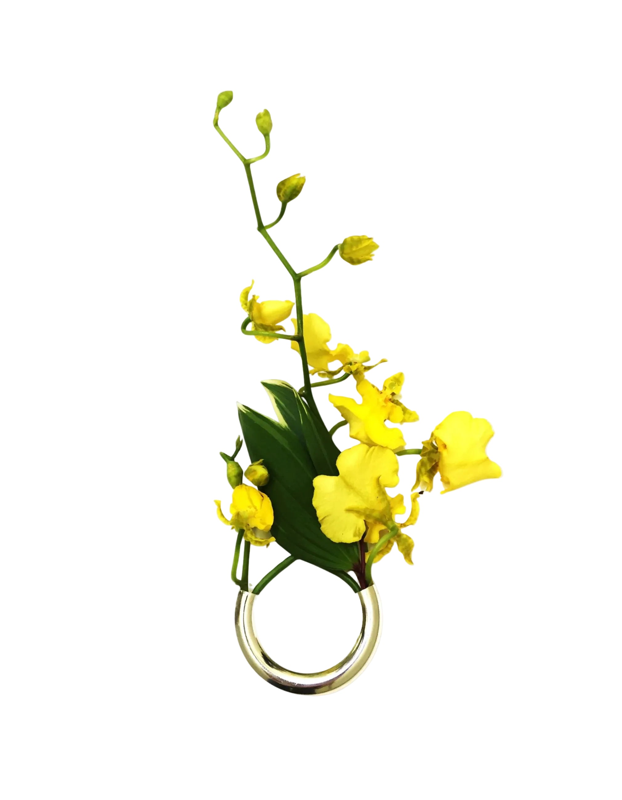 Botanical Brooch in Silver by Lady Grey - At Present Jewelry