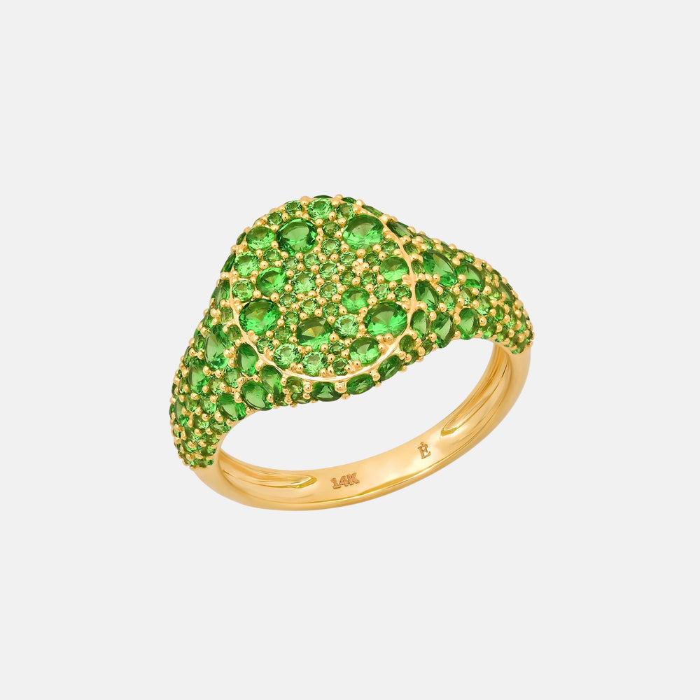 Encrusted Signet Ring by Eriness - At Present Jewelry