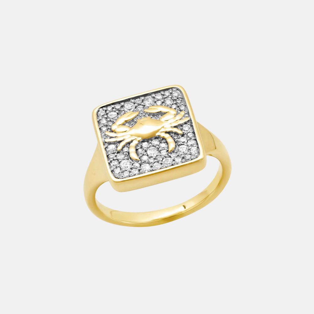 Zodiac Ring by Eriness - At Present Jewelry