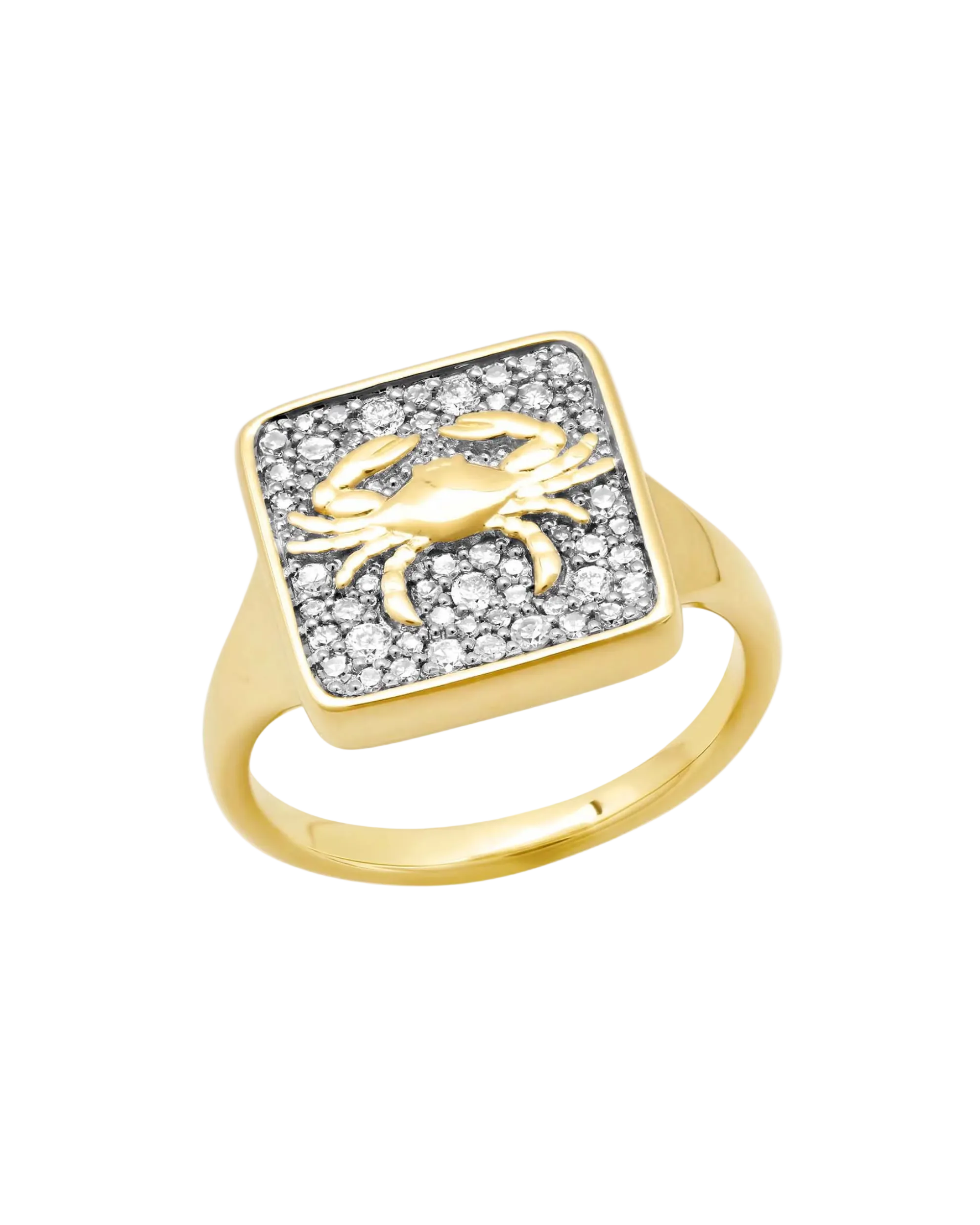 Zodiac Ring by Eriness - At Present Jewelry