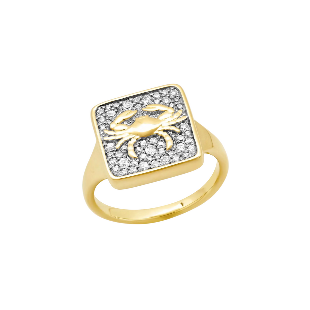 Zodiac Ring by Eriness - At Present Jewelry