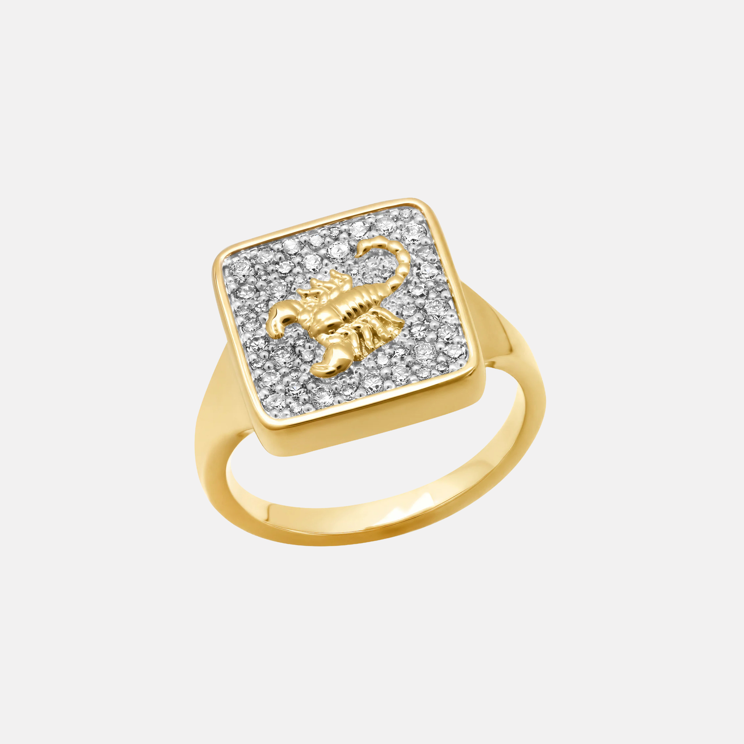 Zodiac Ring by Eriness - At Present Jewelry