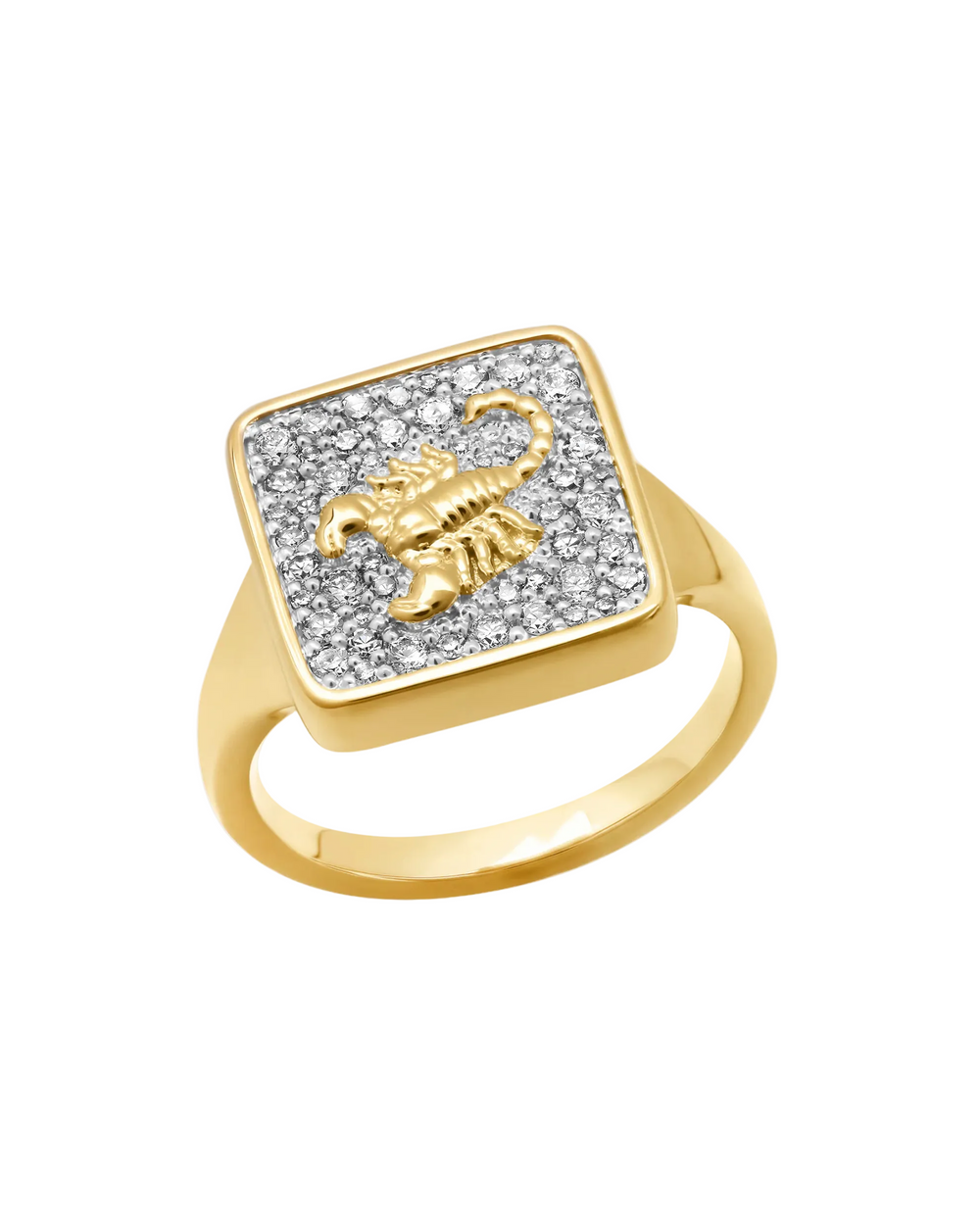 Zodiac Ring by Eriness - At Present Jewelry