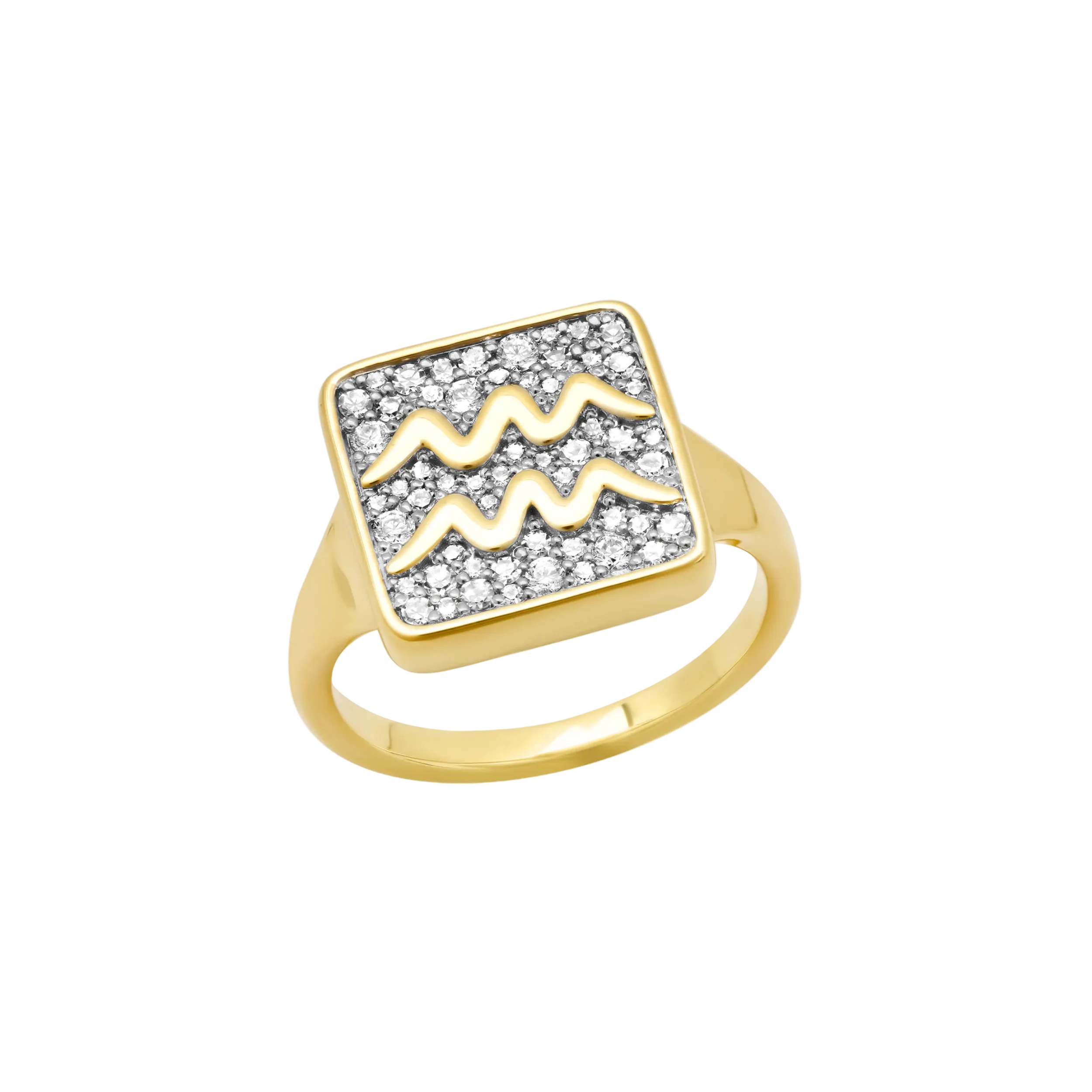 Zodiac Ring by Eriness - At Present Jewelry