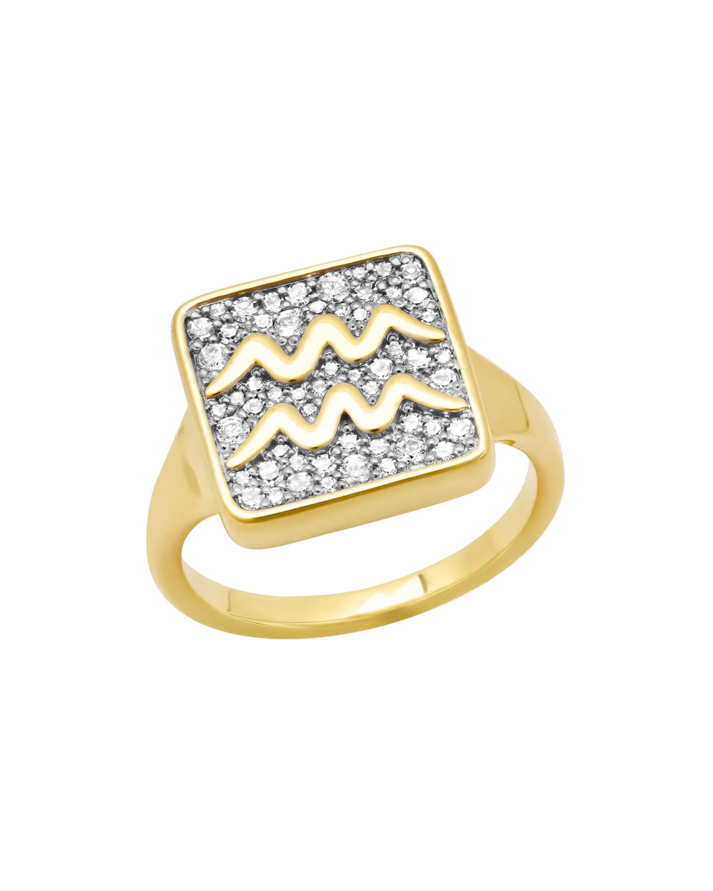 Zodiac Ring by Eriness - At Present Jewelry