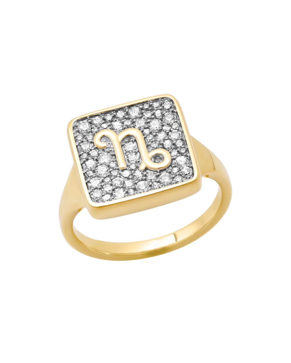 Zodiac Ring by Eriness - At Present Jewelry