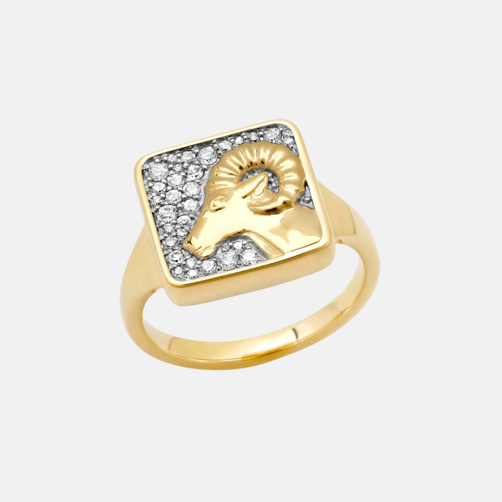 Zodiac Ring by Eriness - At Present Jewelry