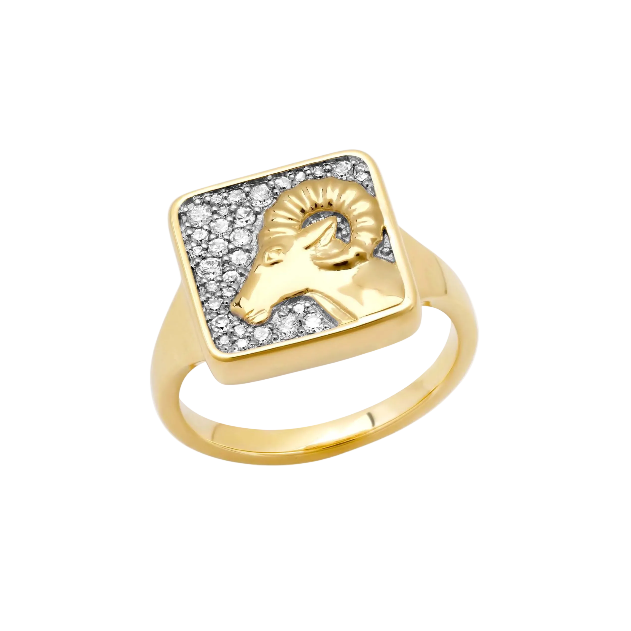 Zodiac Ring by Eriness - At Present Jewelry