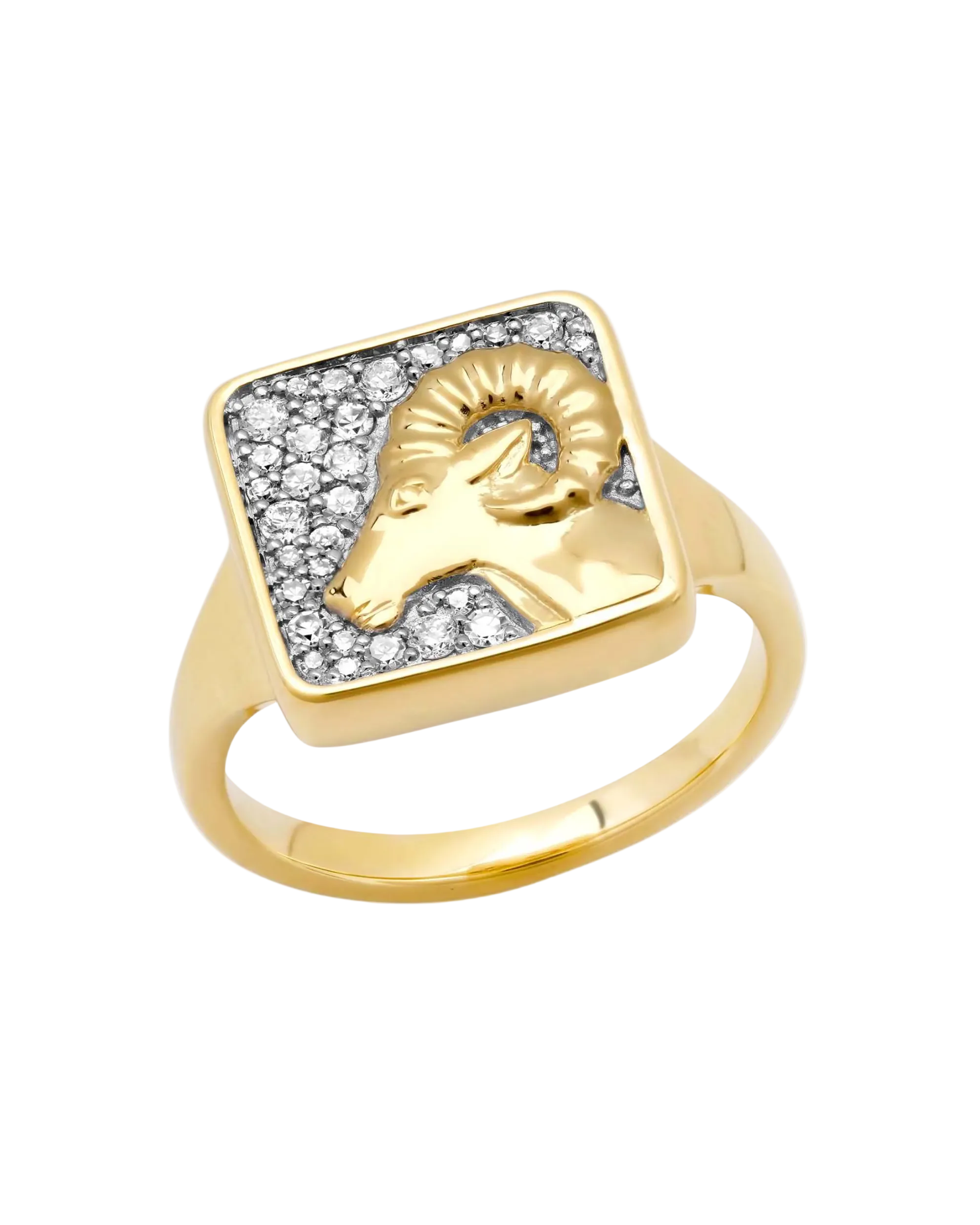 Zodiac Ring by Eriness - At Present Jewelry