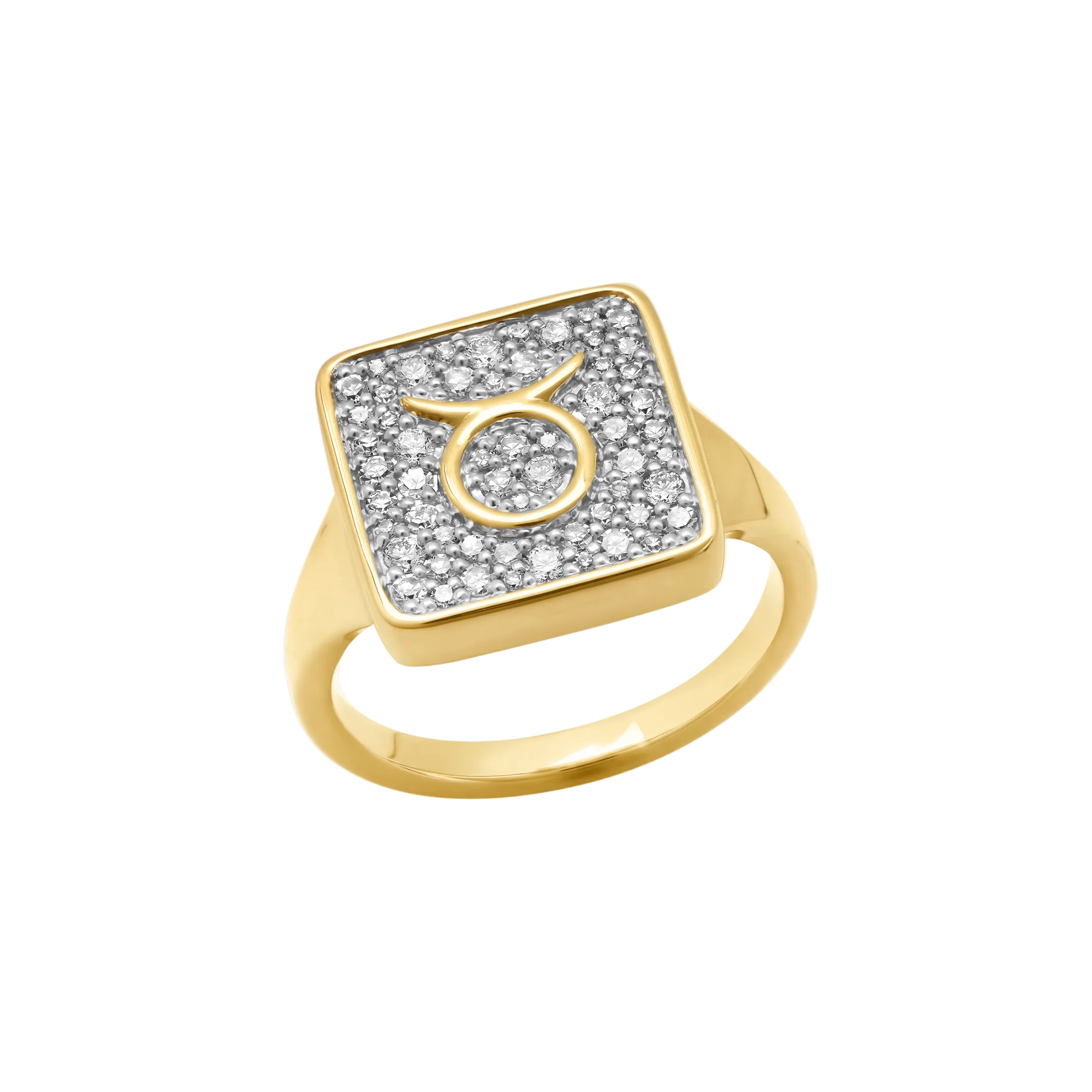 Zodiac Ring by Eriness - At Present Jewelry