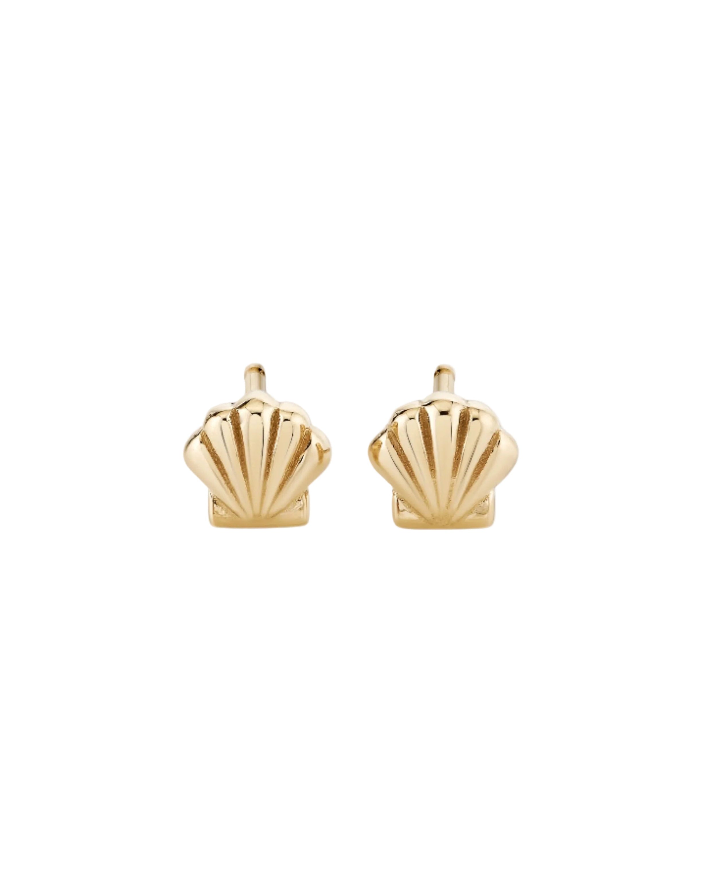 Petite Scallop Shell Studs by Ariel Gordon Jewelry - At Present Jewelry