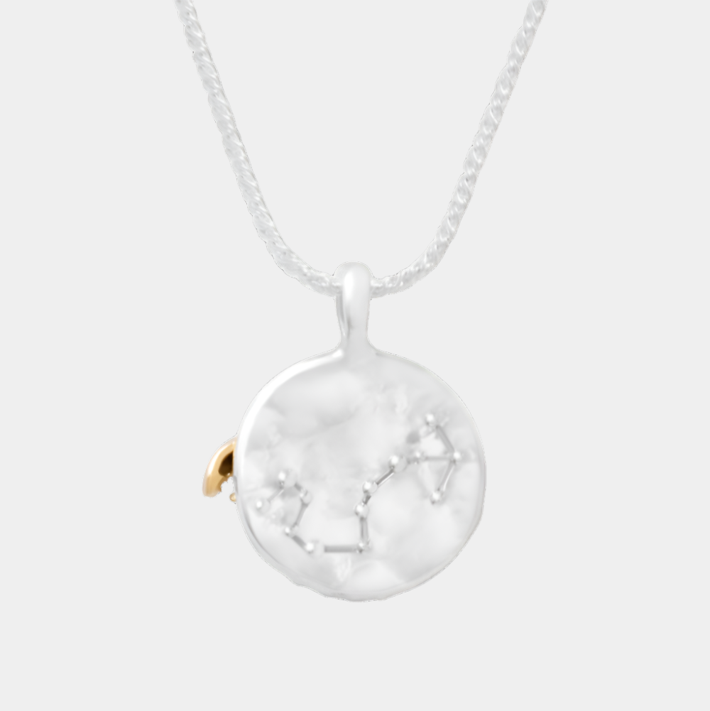 Scorpio Pendant Necklace by Carina Hardy - At Present Jewelry