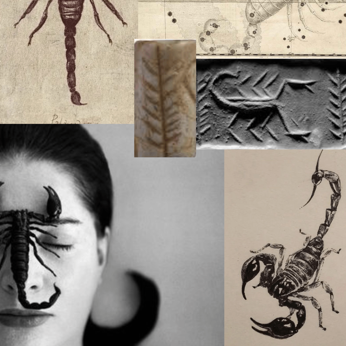 Scorpio Pendant Necklace by Carina Hardy - At Present Jewelry