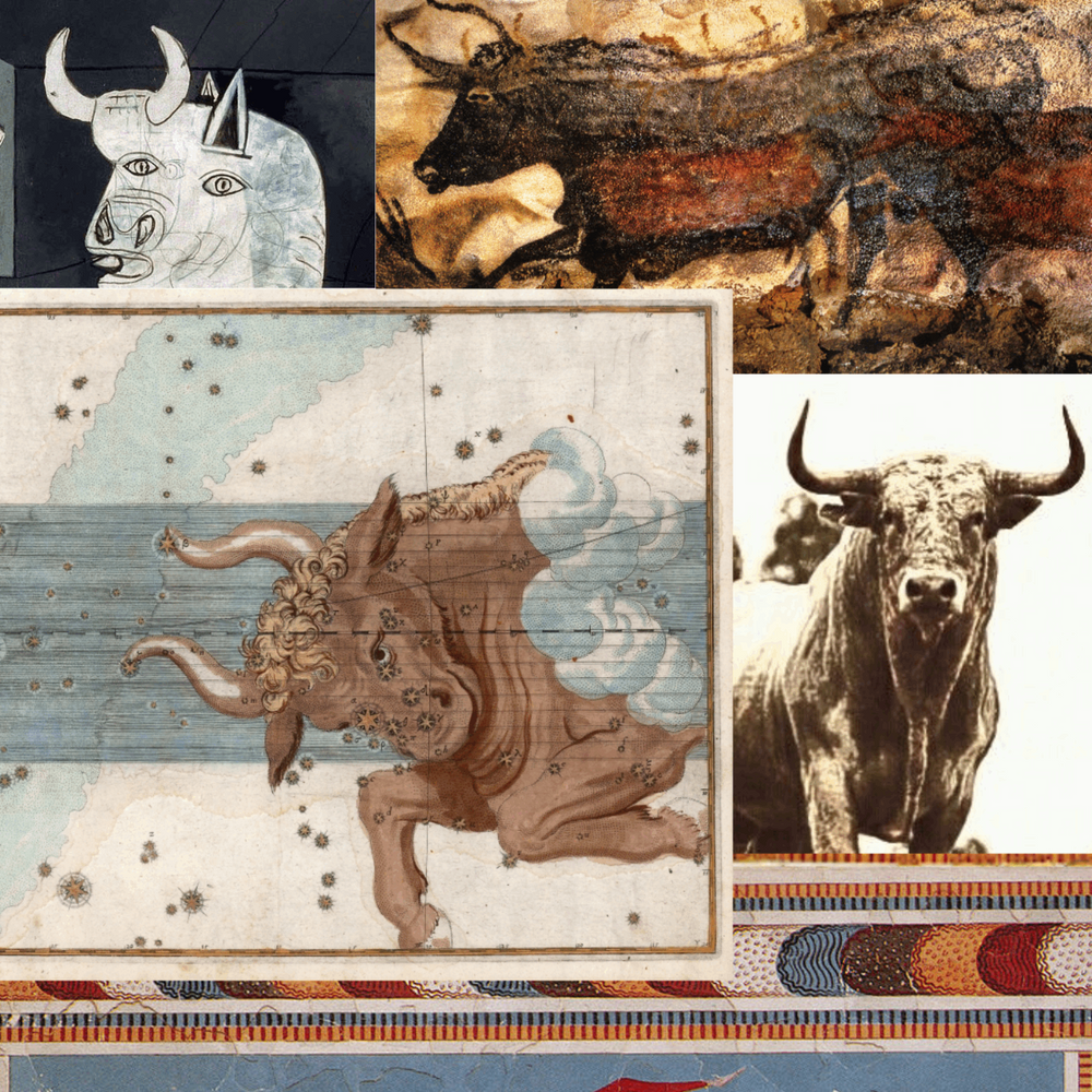 Taurus Pendant Necklace by Carina Hardy - At Present Jewelry