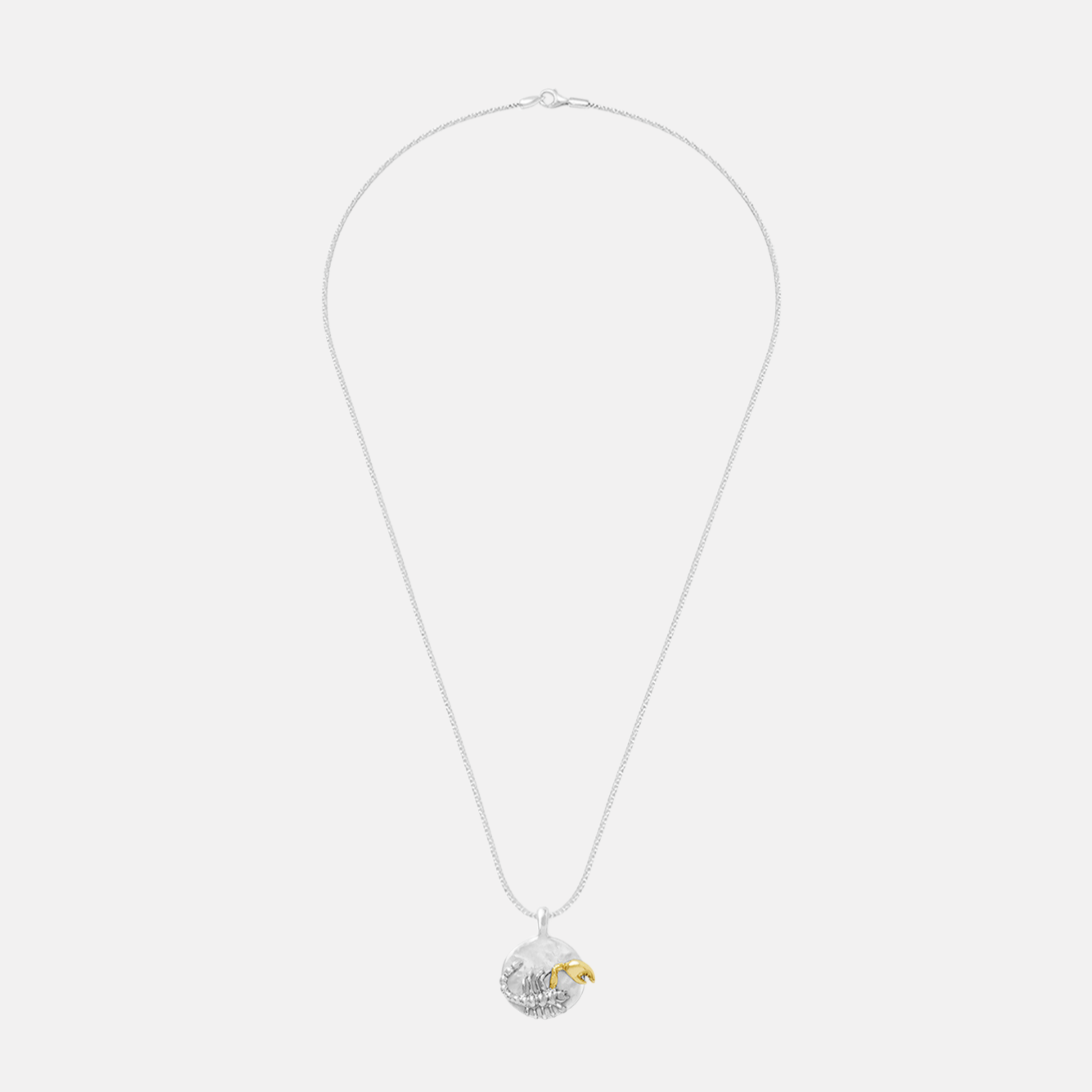 Scorpio Pendant Necklace by Carina Hardy - At Present Jewelry