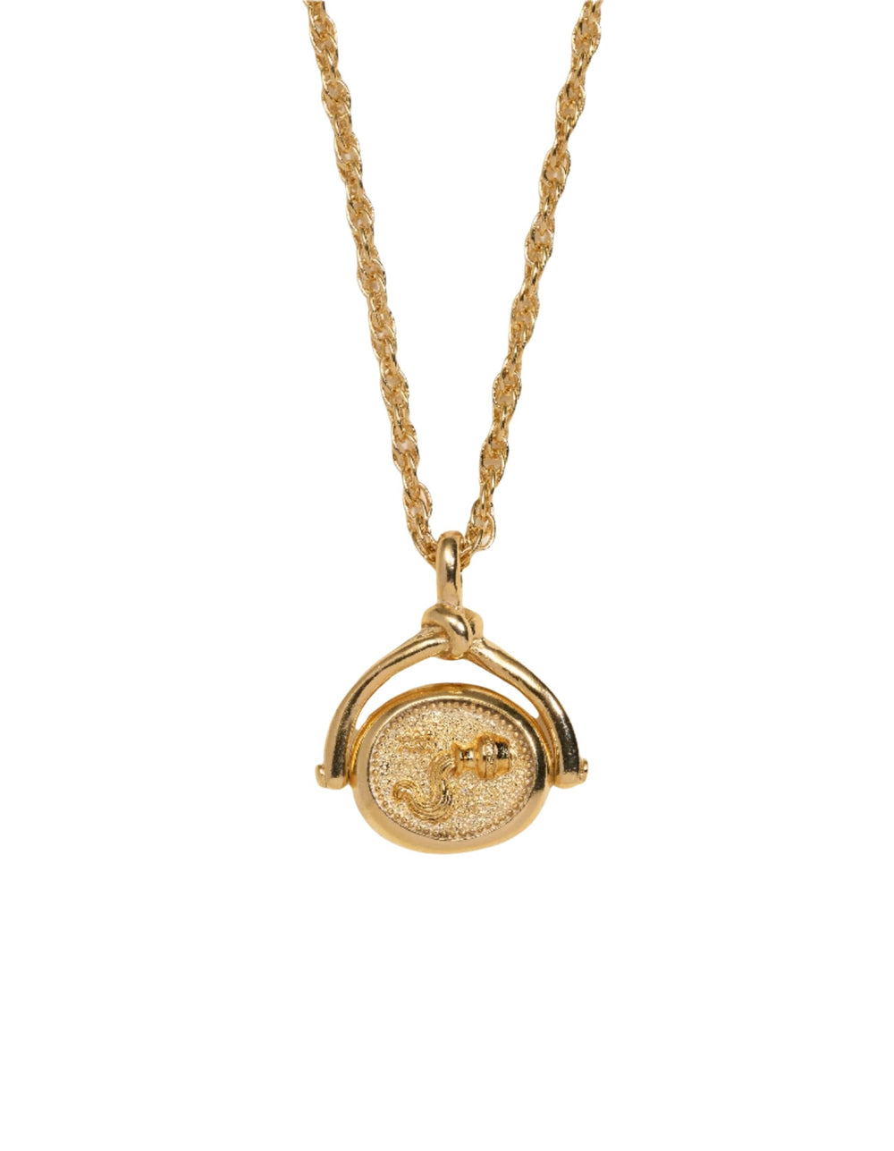 Aquarius Spinner Pendant