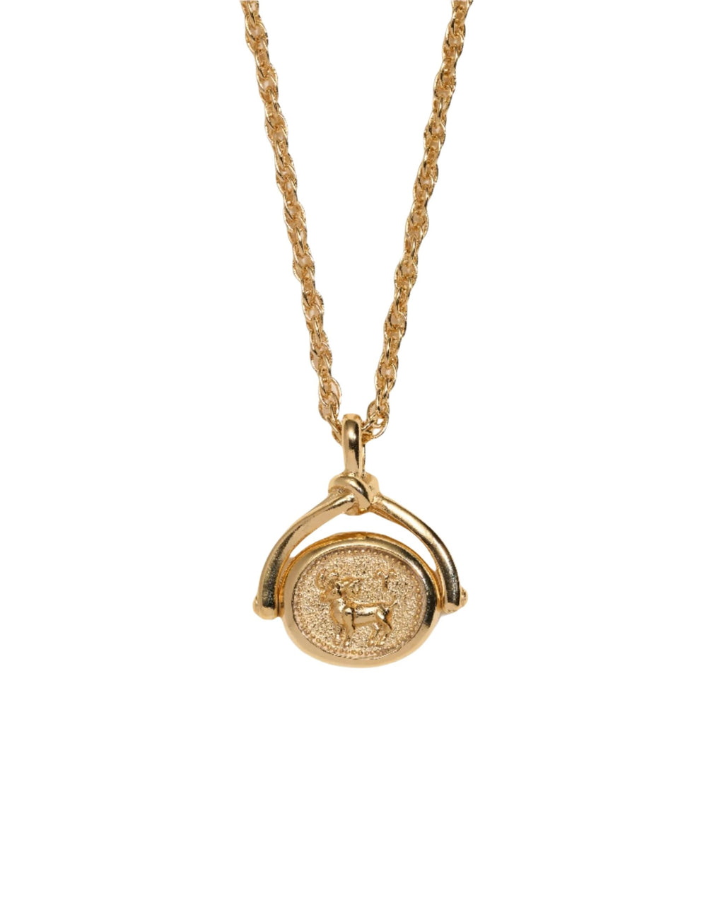 Zodiac Spinner Pendant