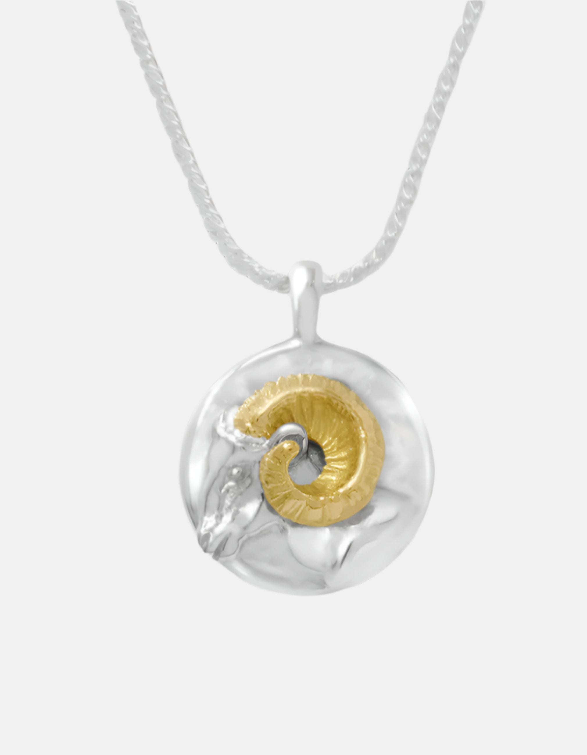 Zodiac Pendant Necklace