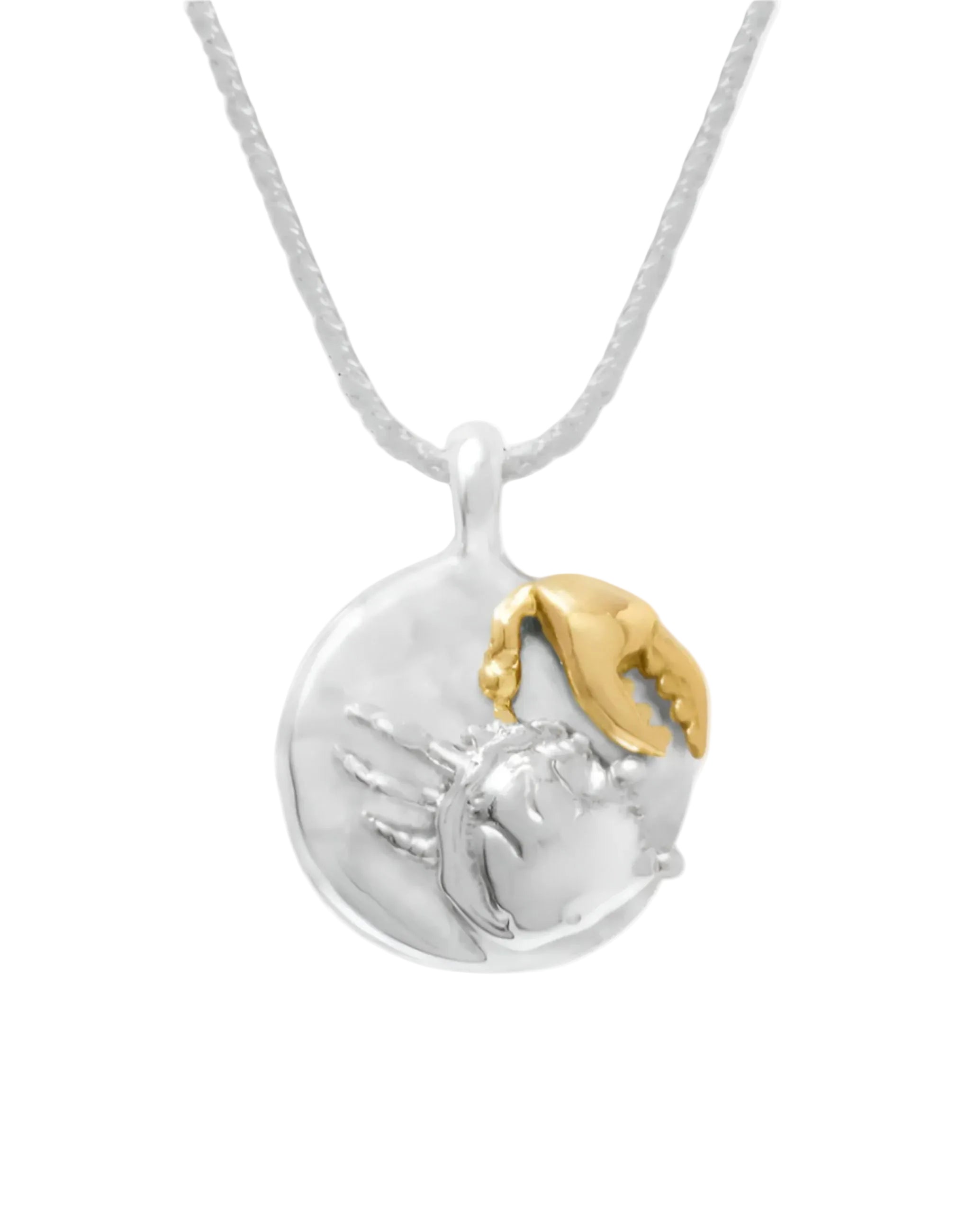 Zodiac Pendant Necklace by Carina Hardy - At Present Jewelry