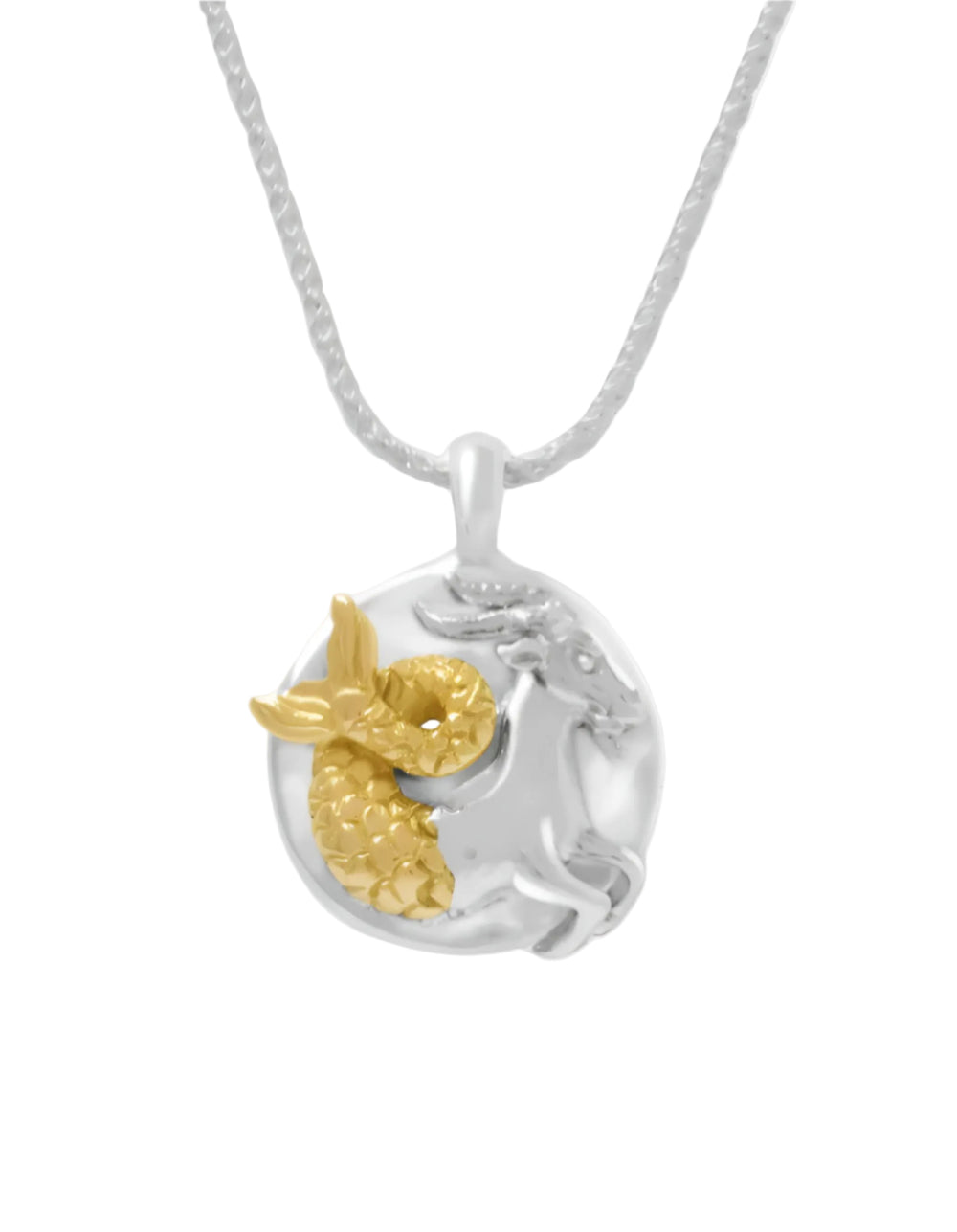 Zodiac Pendant Necklace