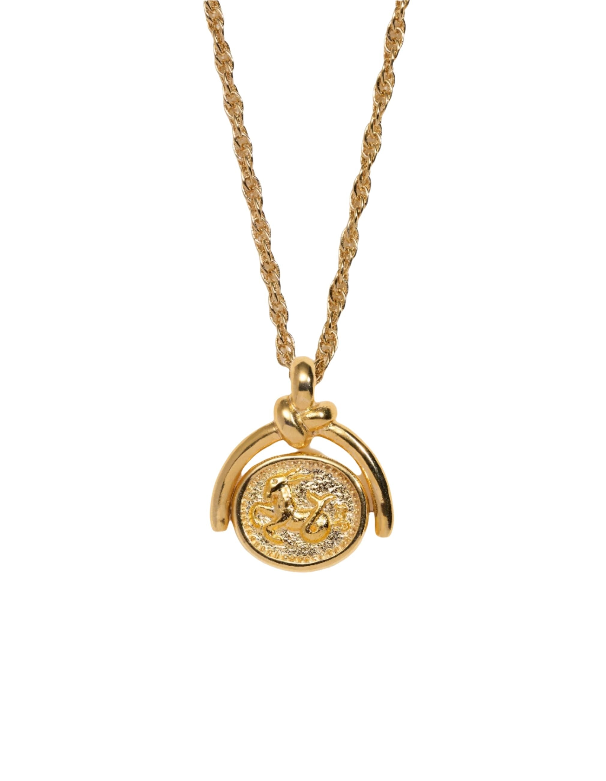 Capricorn Spinner Pendant