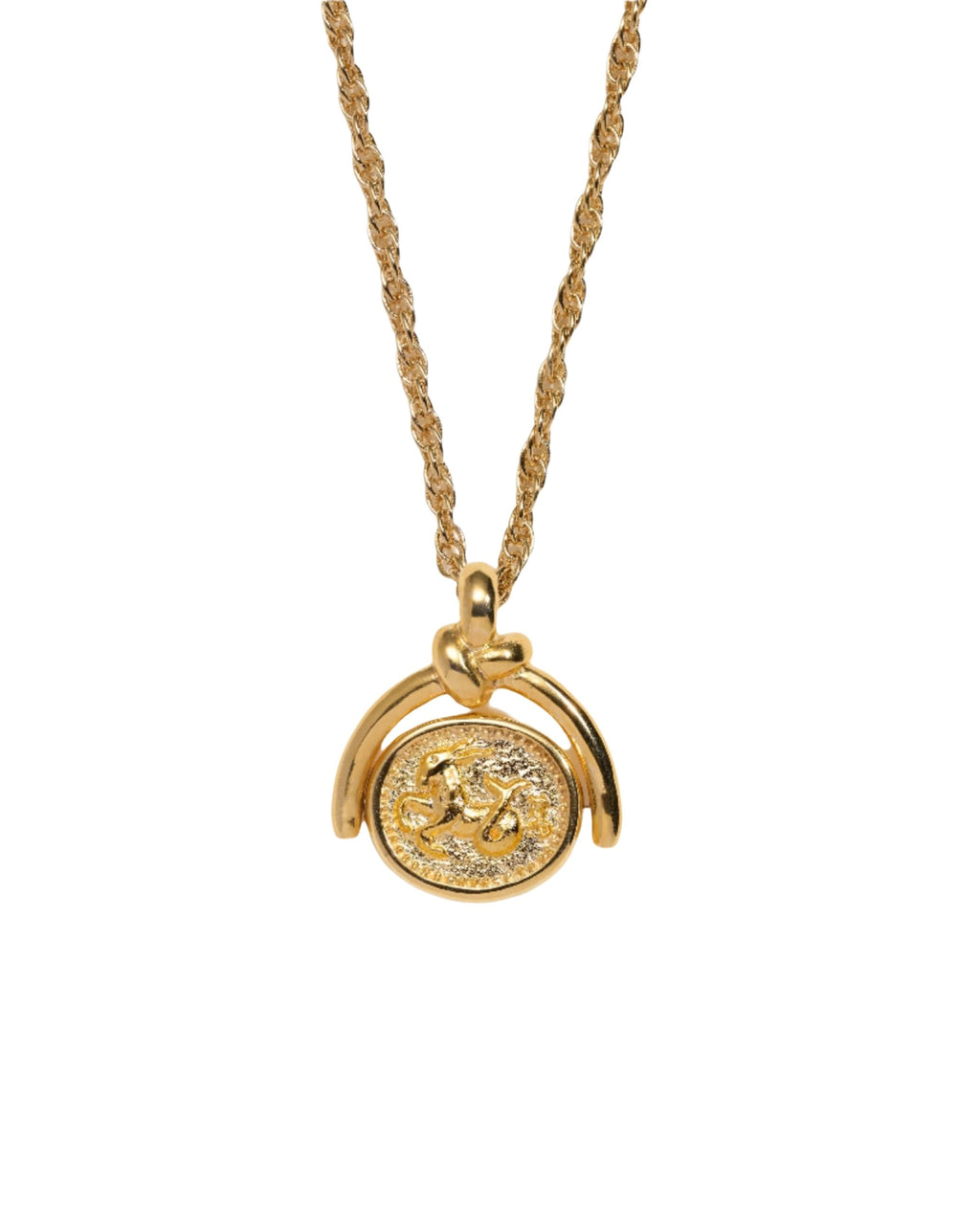 Zodiac Spinner Pendant