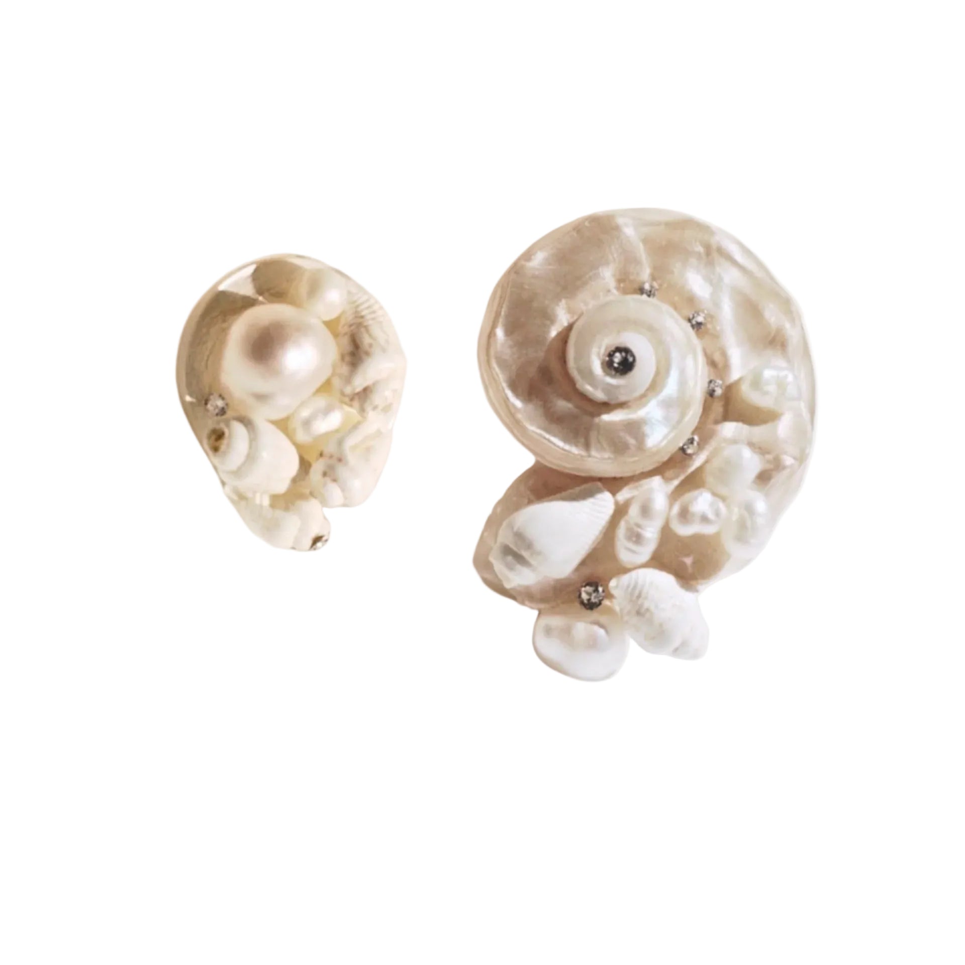 Seashell Earrings by Anita Berisha - At Present Jewelry