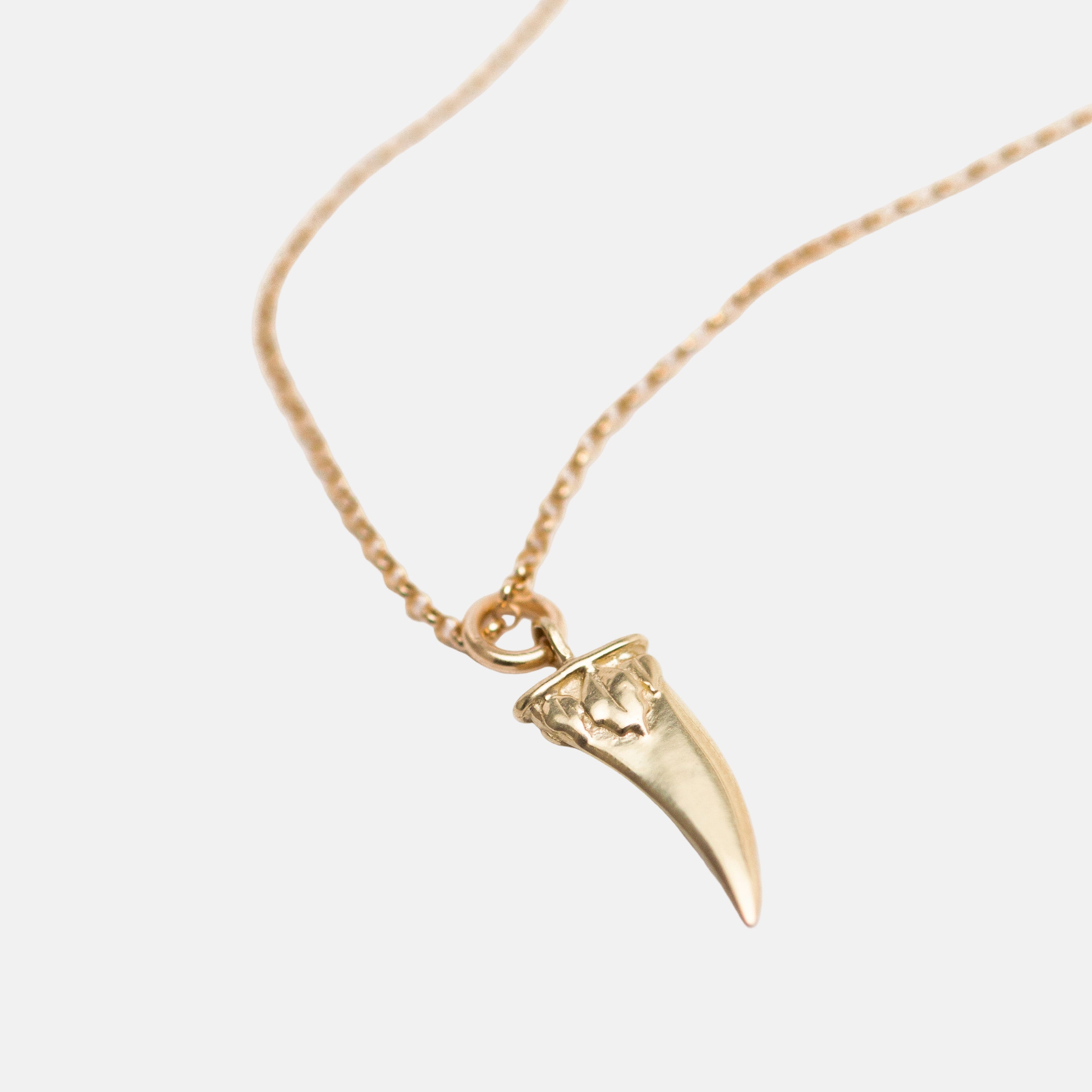 Diente Necklace by Rebecca Pinto - At Present Jewelry