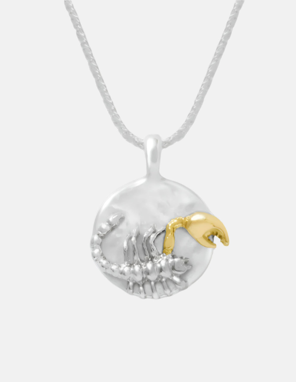 Zodiac Pendant Necklace