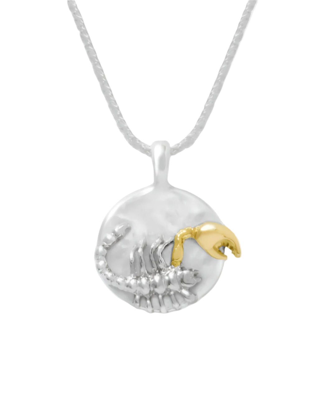 Zodiac Pendant Necklace