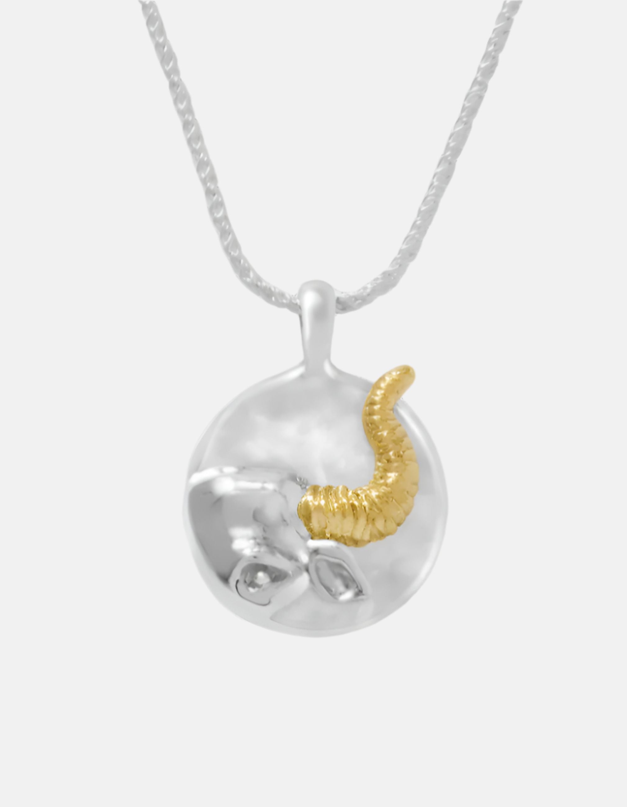 Zodiac Pendant Necklace