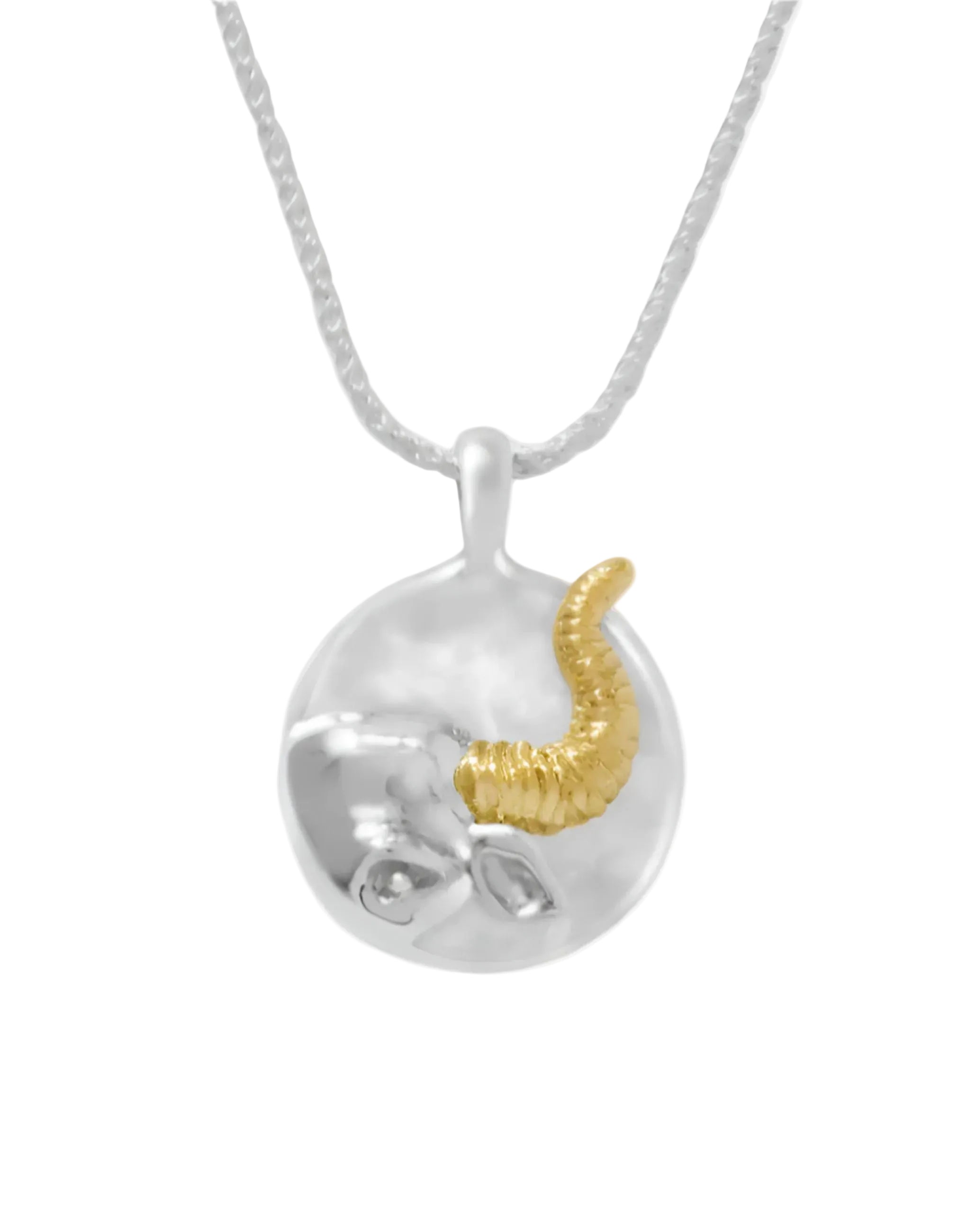 Zodiac Pendant Necklace