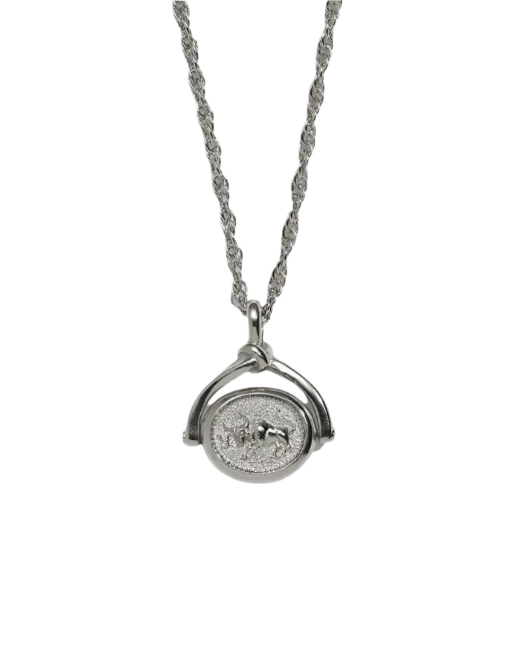 Taurus Spinner Pendant