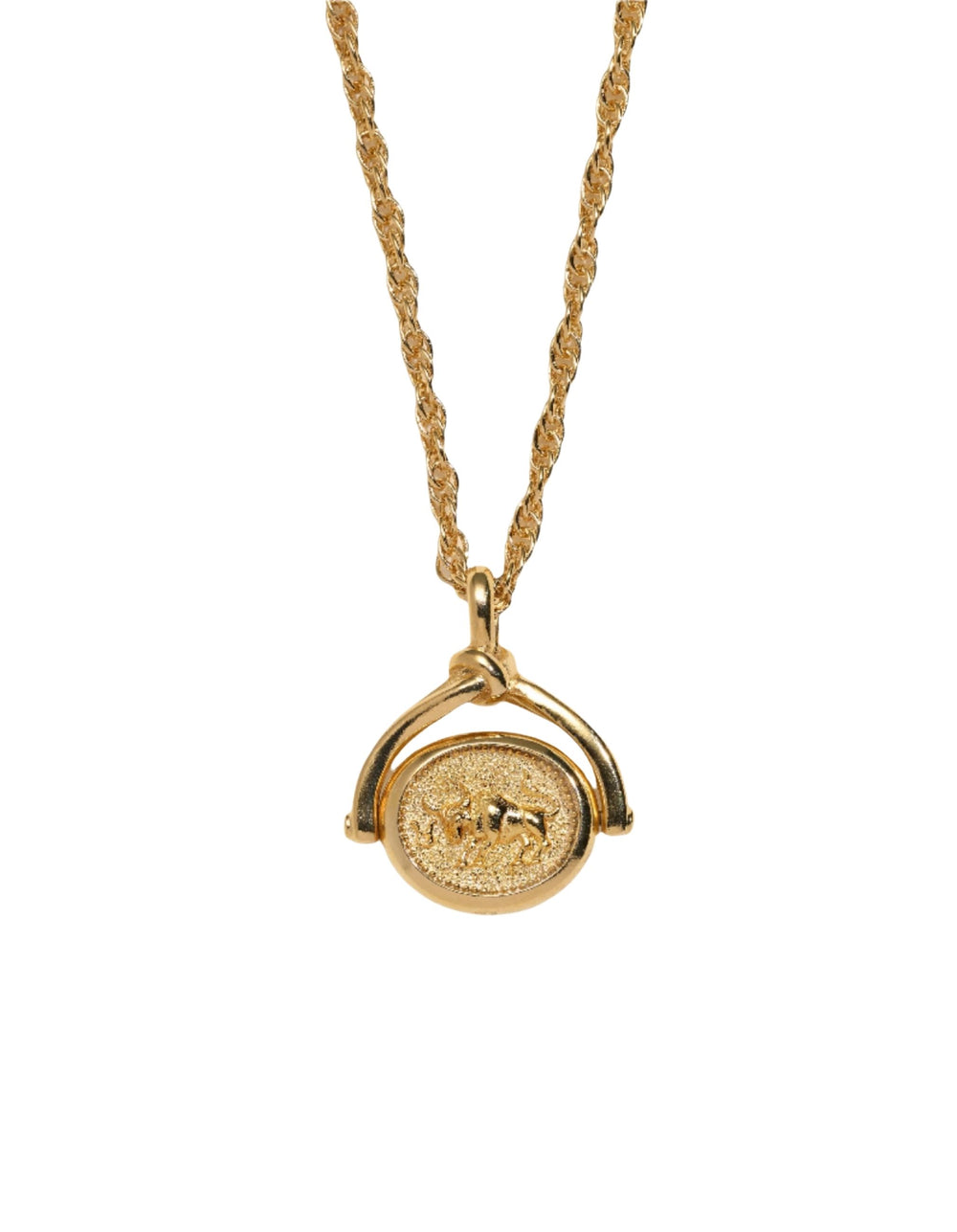 Zodiac Spinner Pendant