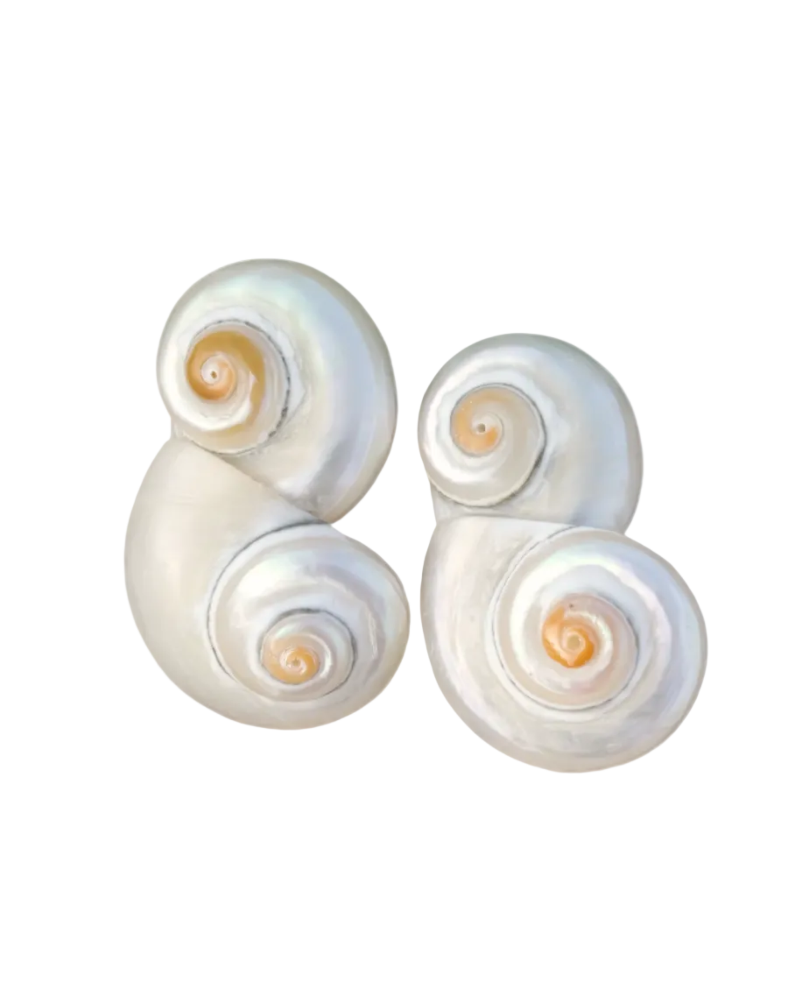 Twists and Turns Earrings by Anita Berisha - At Present Jewelry