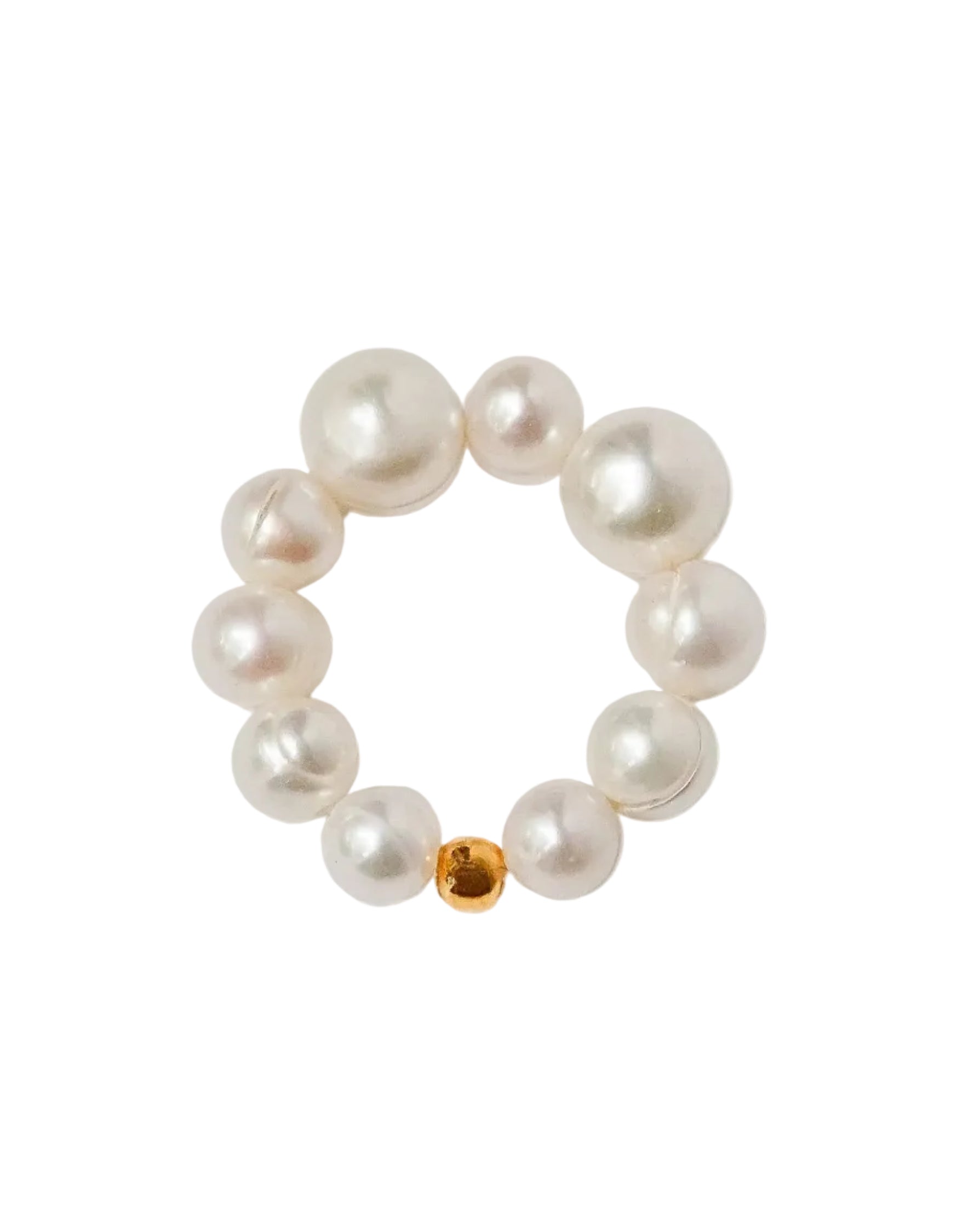 Nautilus Ring by Anita Berisha - At Present Jewelry