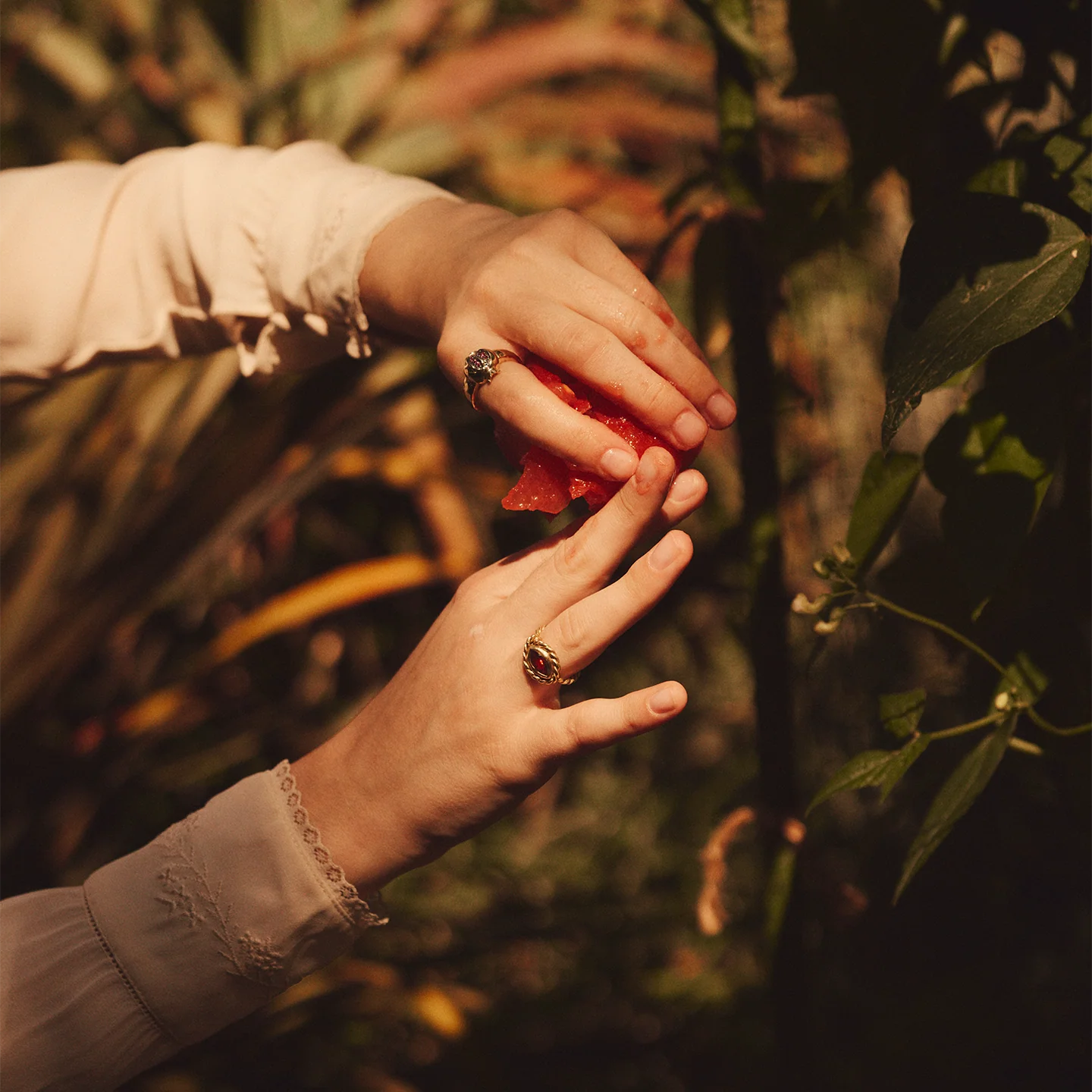 Persephone Ring by Pamela Love - At Present Jewelry
