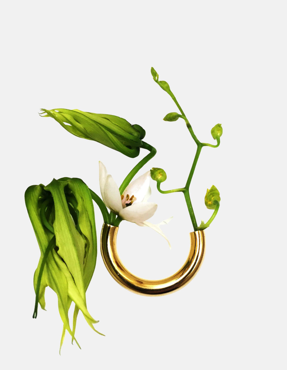 Botanical Brooch in Gold by Lady Grey - At Present Jewelry