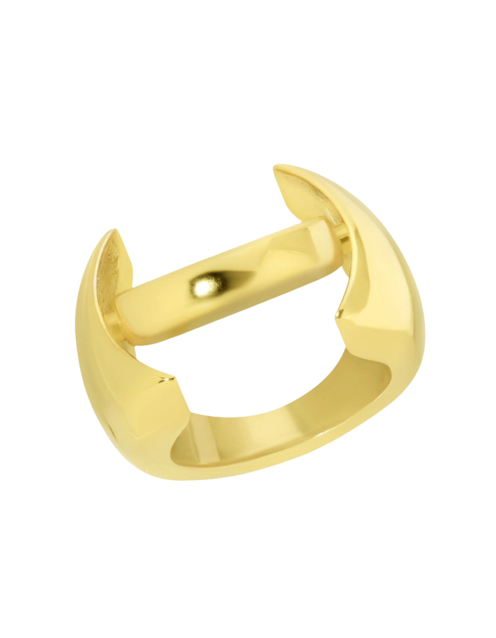 Reversible Bullseye Ring