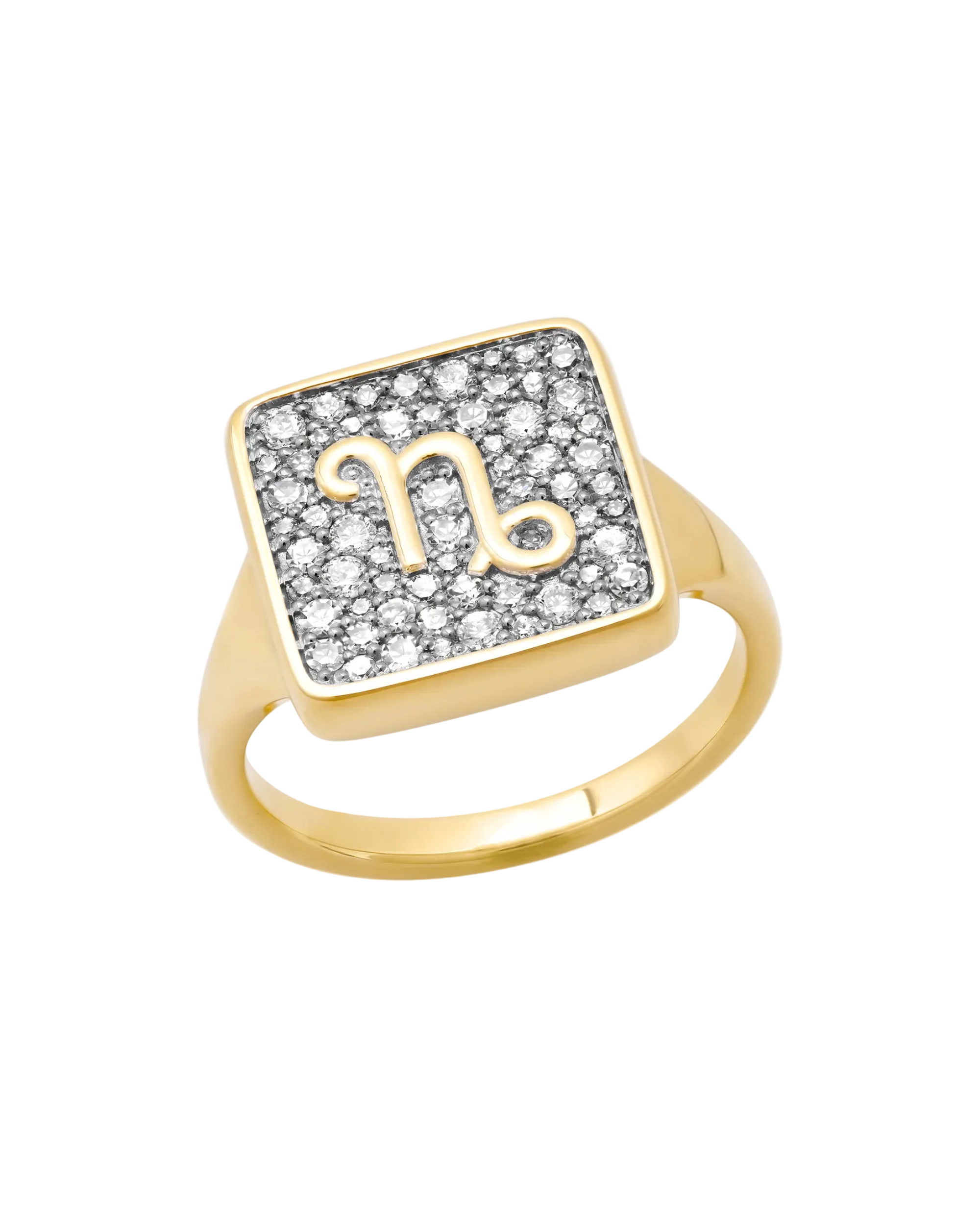 Zodiac Ring by Eriness - At Present Jewelry