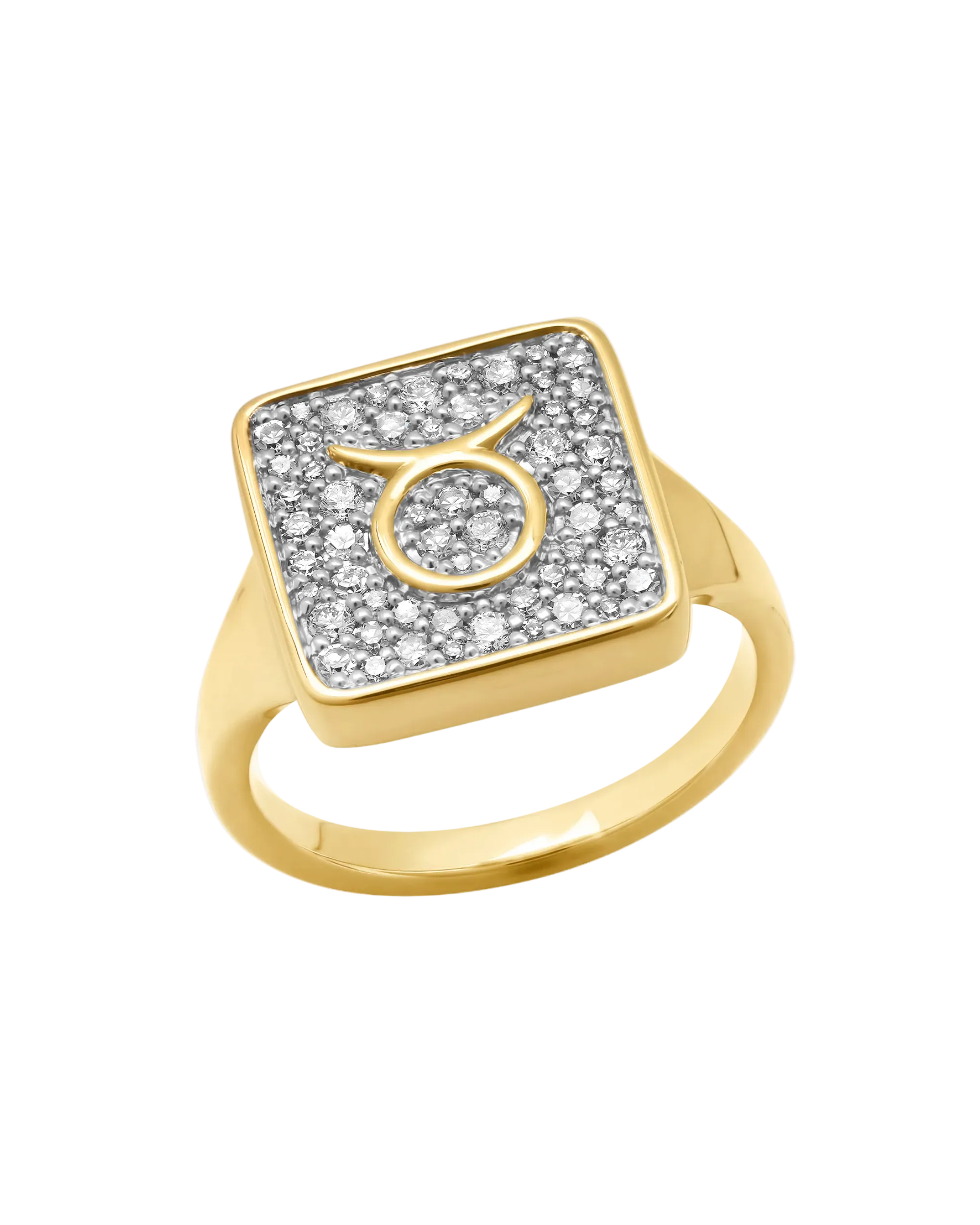 Zodiac Ring by Eriness - At Present Jewelry