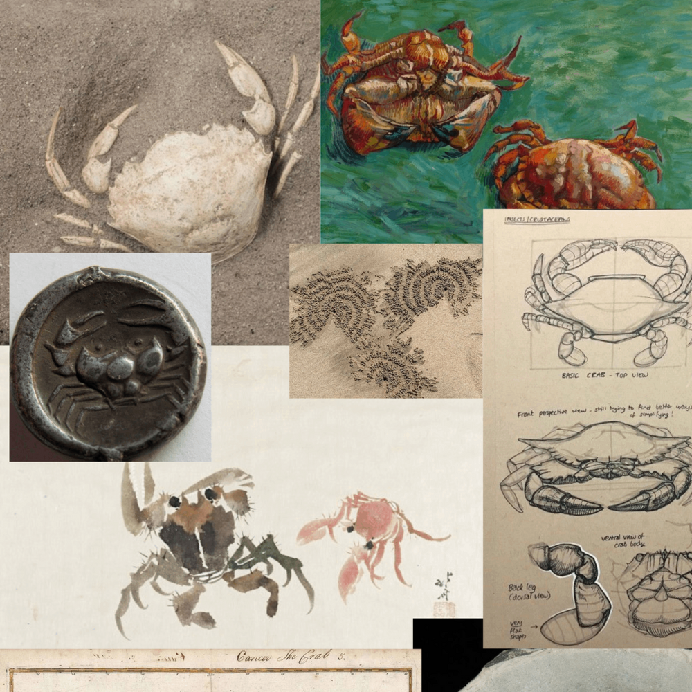 Cancer Pendant Necklace by Carina Hardy - At Present Jewelry