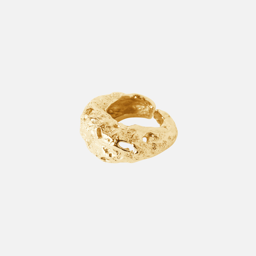Galia Ring by Paola Sighinolfi - At Present Jewelry