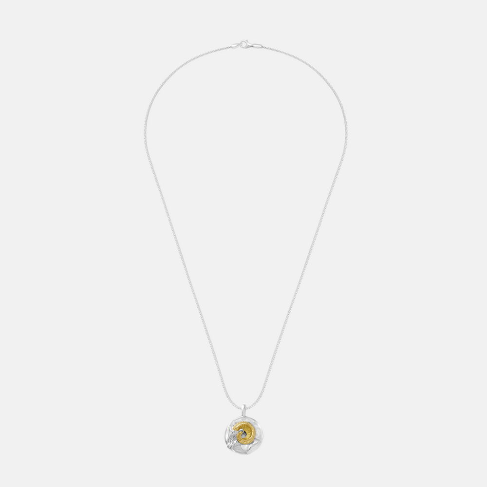 Aries Pendant Necklace by Carina Hardy - At Present Jewelry