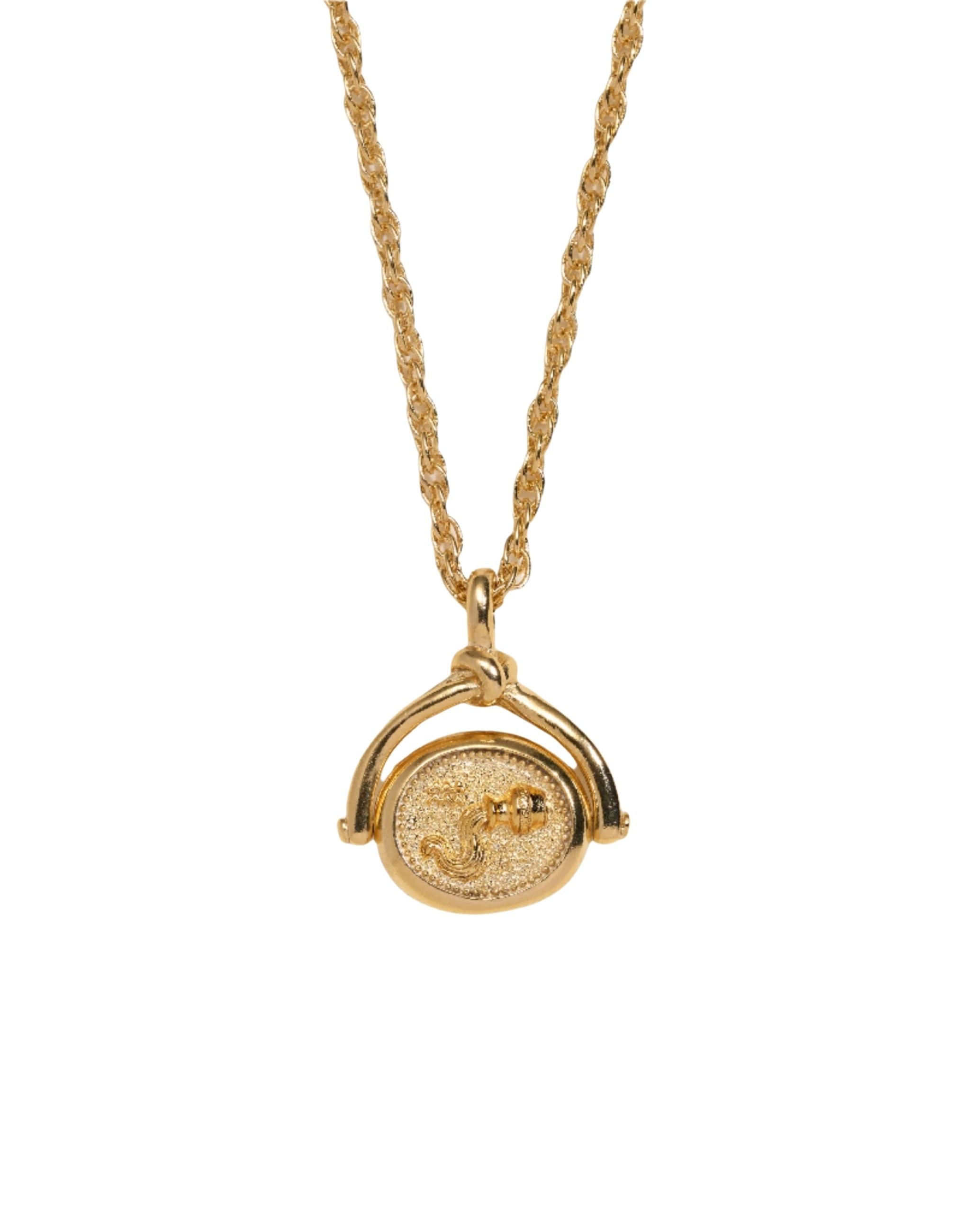 Aquarius Spinner Pendant