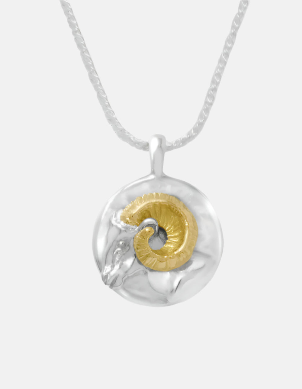 Zodiac Pendant Necklace